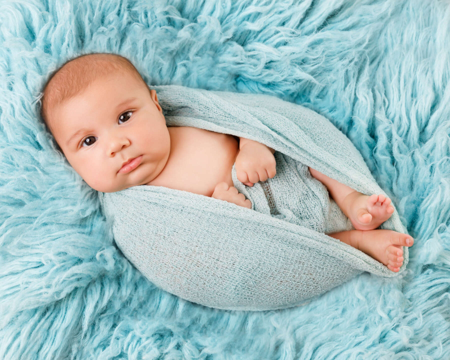 Recent newborn session in Perth