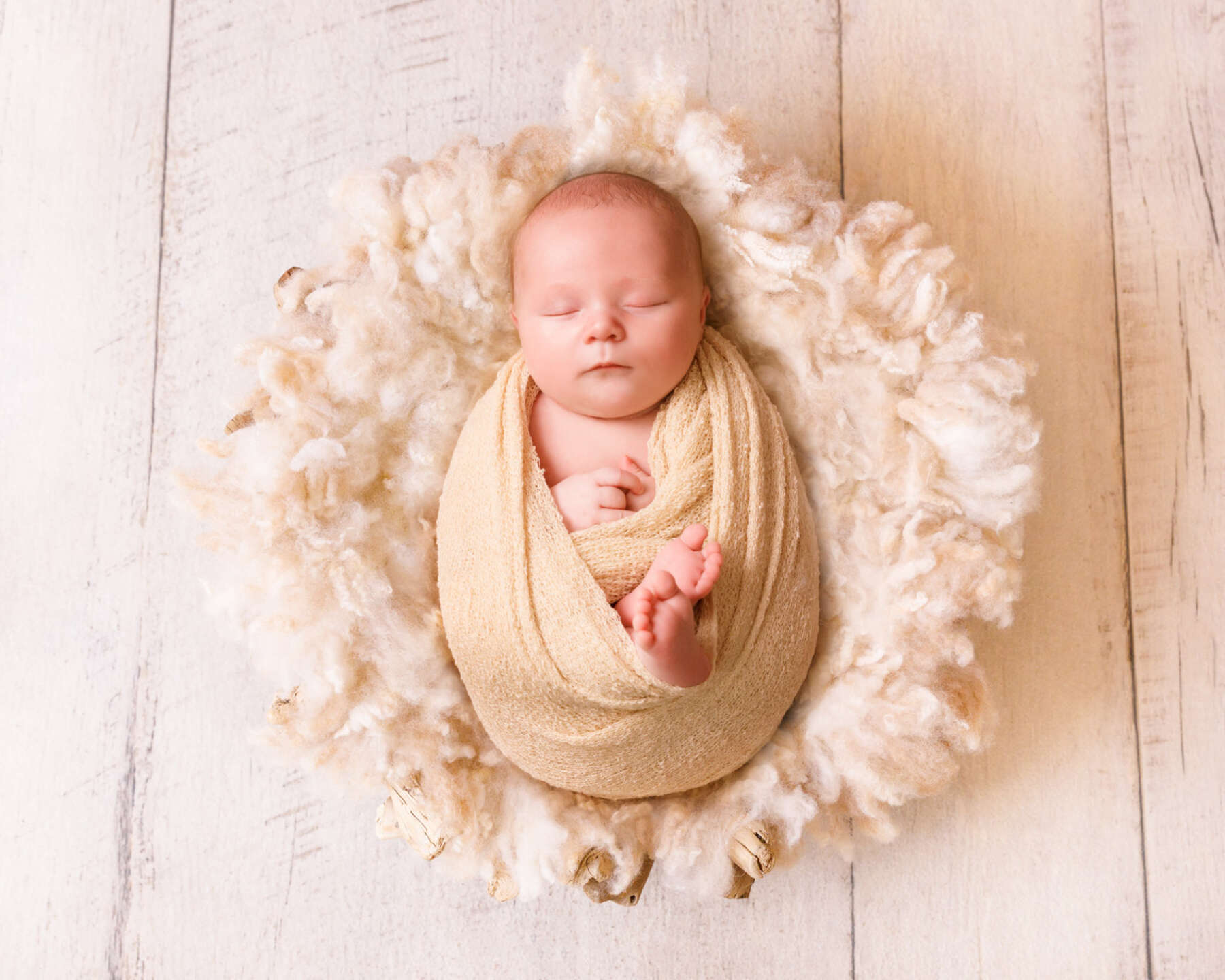 Recent newborn session in Perth