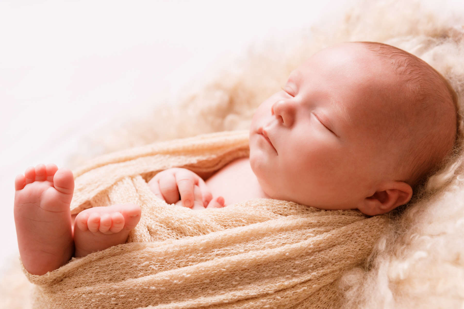 Recent newborn session in Perth