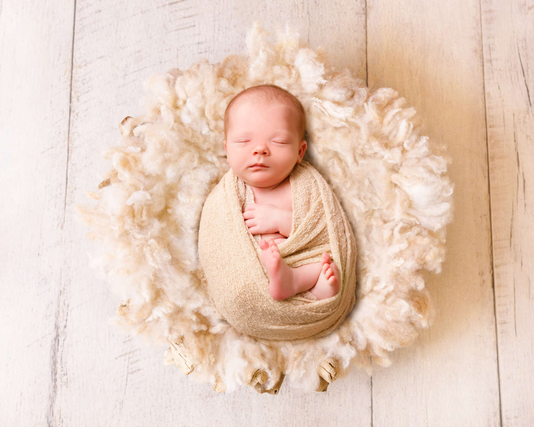 Recent newborn session in Perth