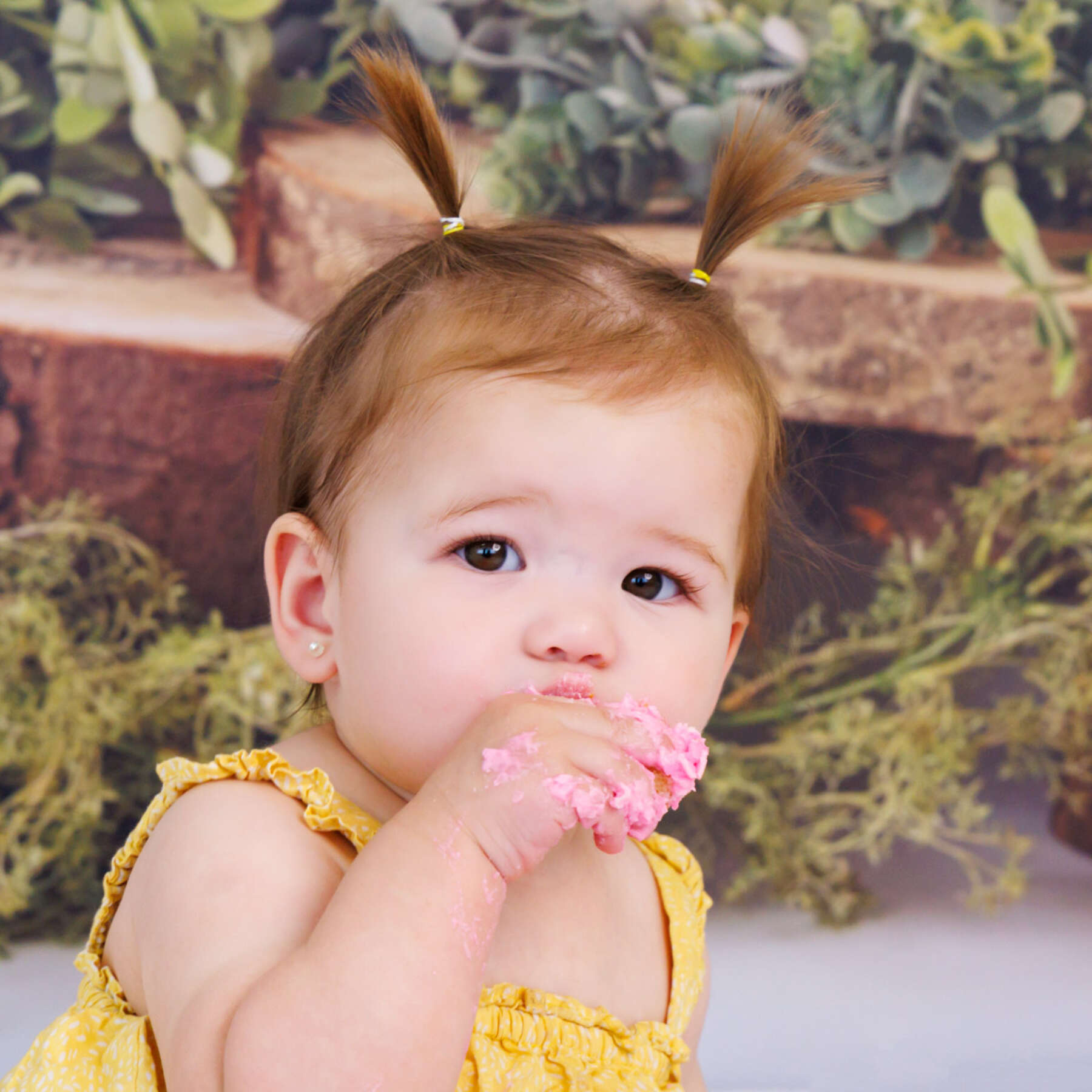 Recent cakesmash session in Perth