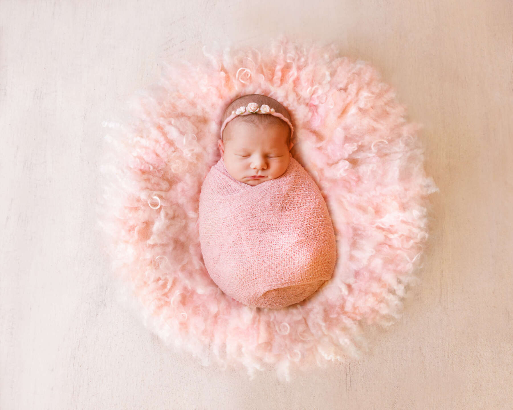 Recent newborn session in Perth