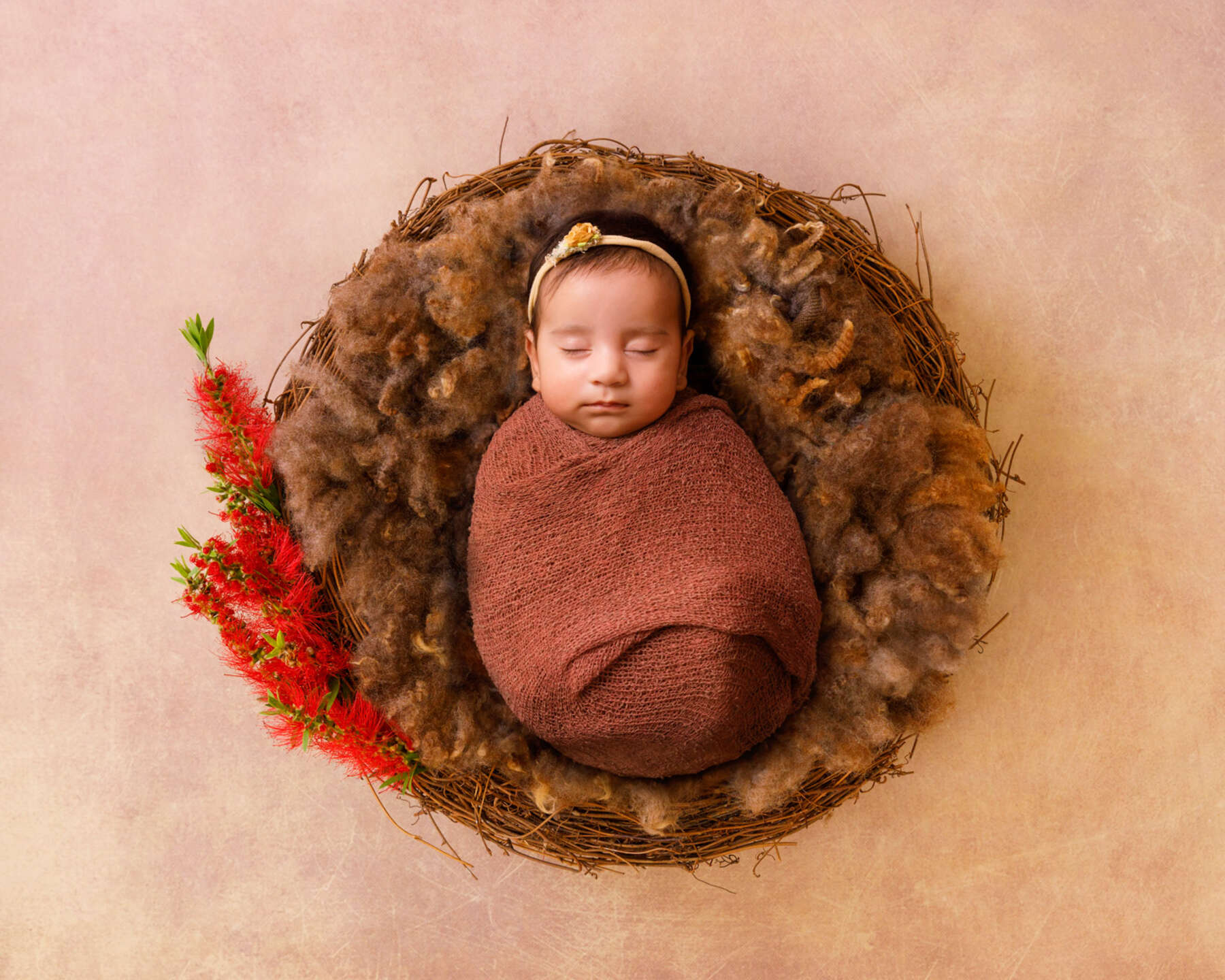 Recent newborn session in Perth