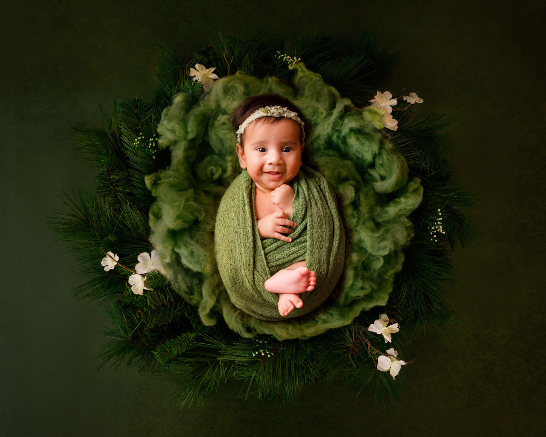 Recent newborn session in Perth