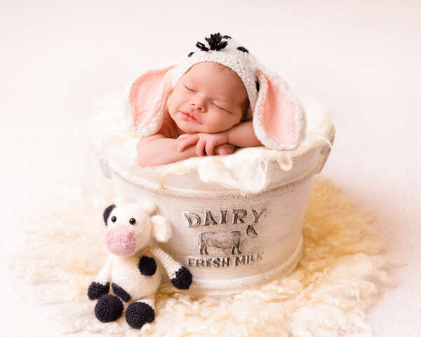 Recent newborn session in Perth