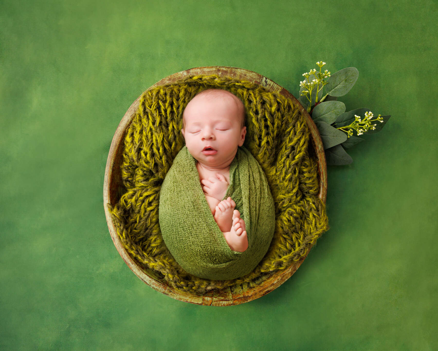 Recent newborn session in Perth