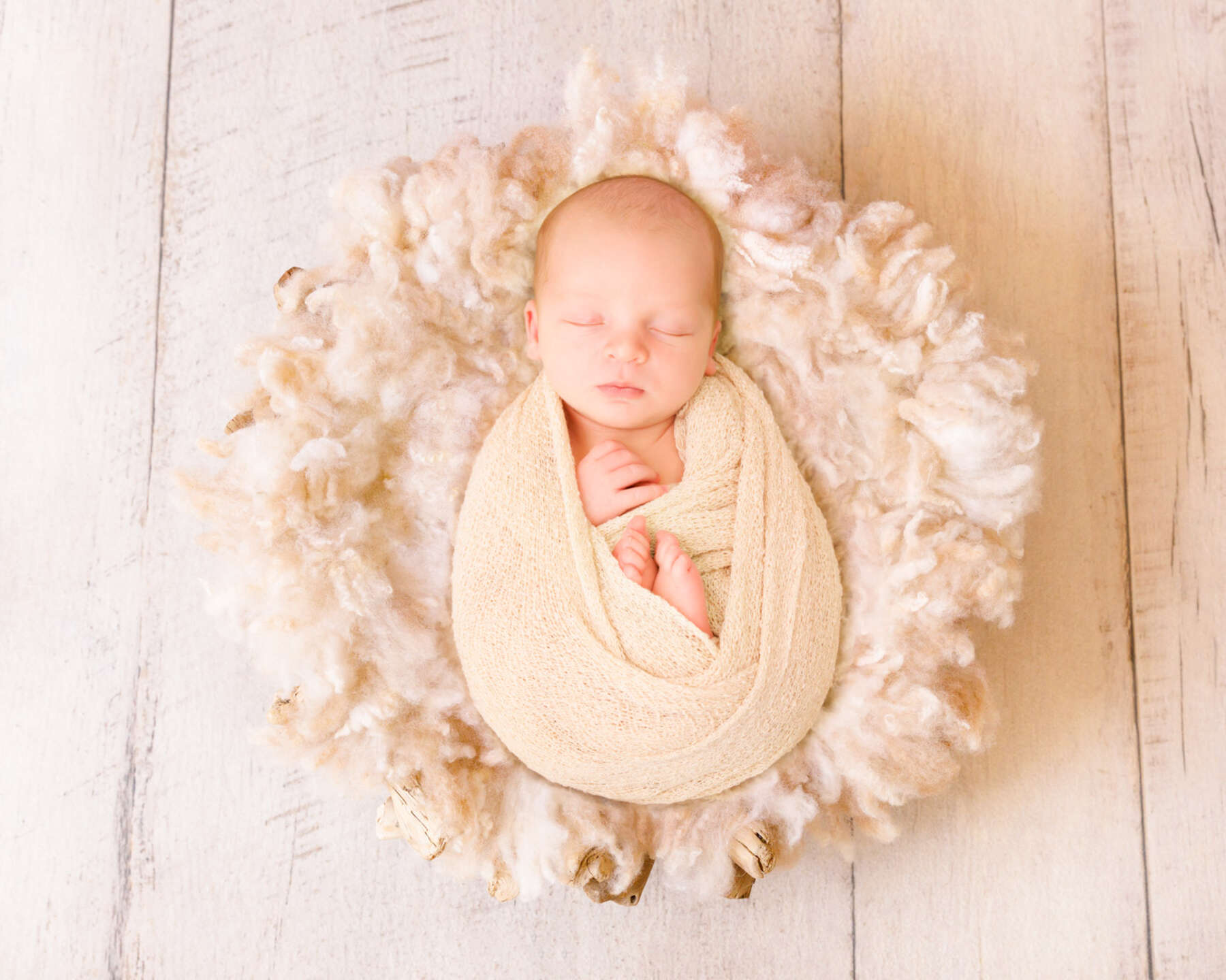 Recent newborn session in Perth