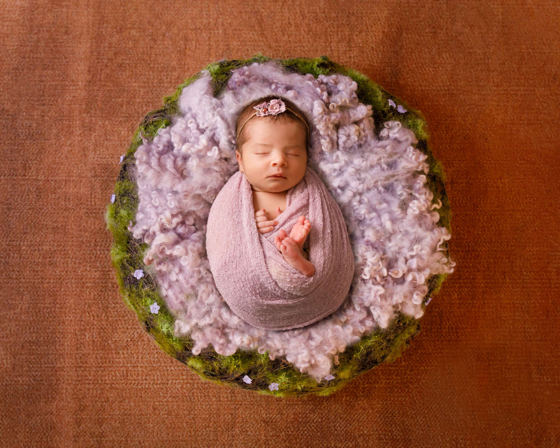 Recent newborn session in Perth