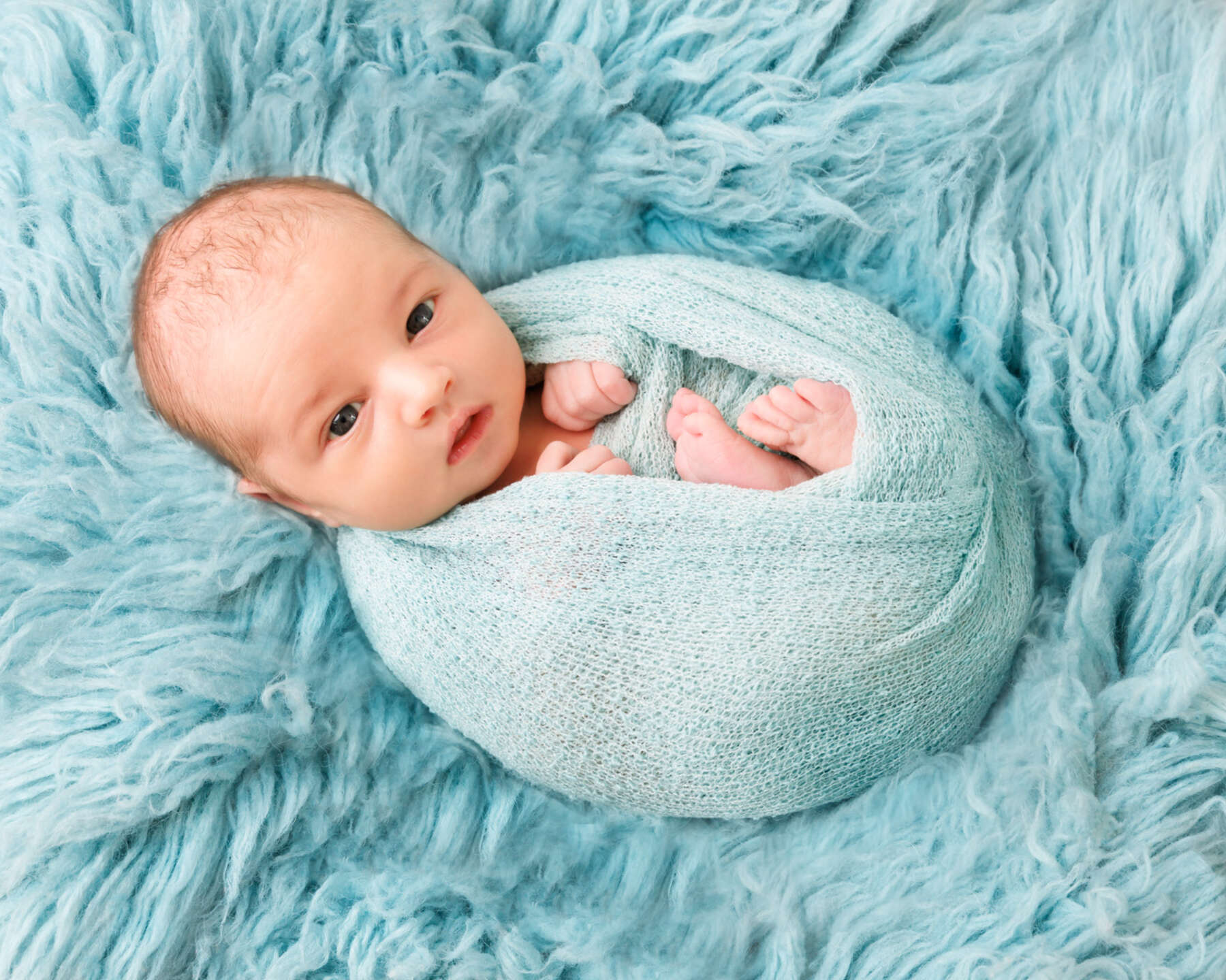 Recent newborn session in Perth