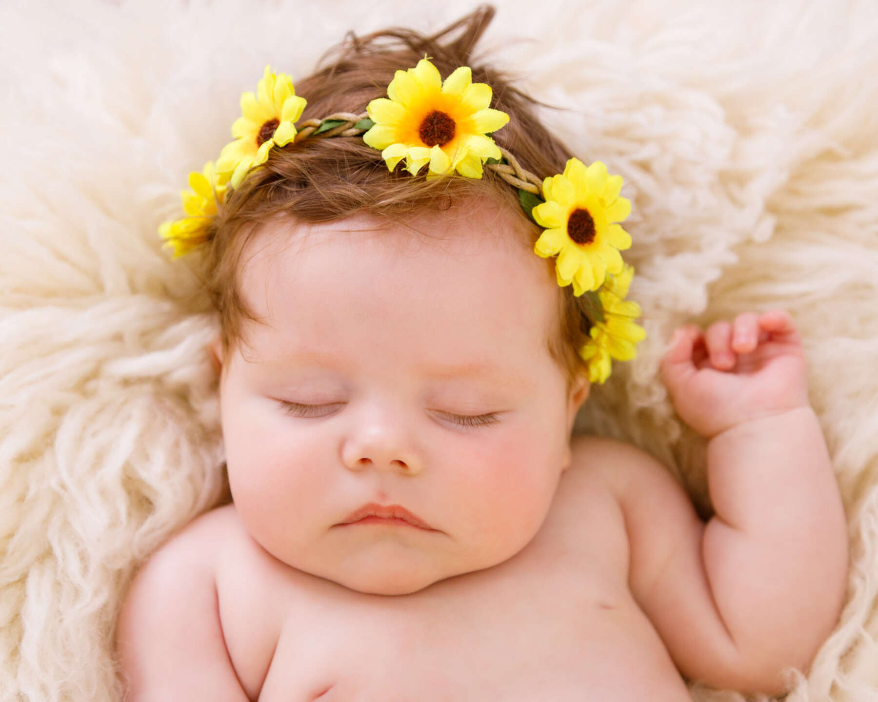 Recent newborn session in Perth