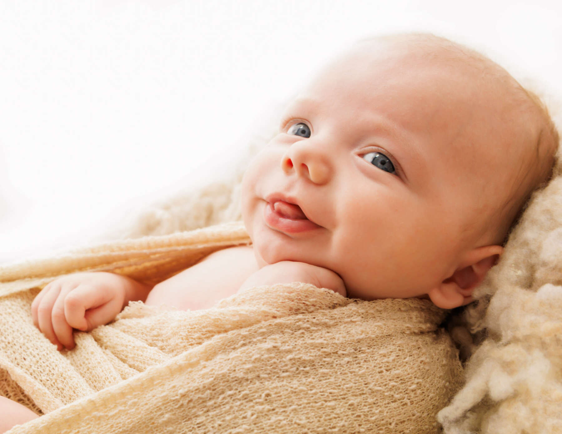 Recent newborn session in Perth