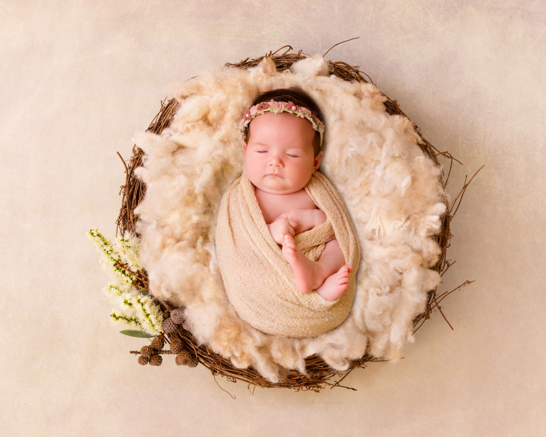 Recent newborn session in Perth