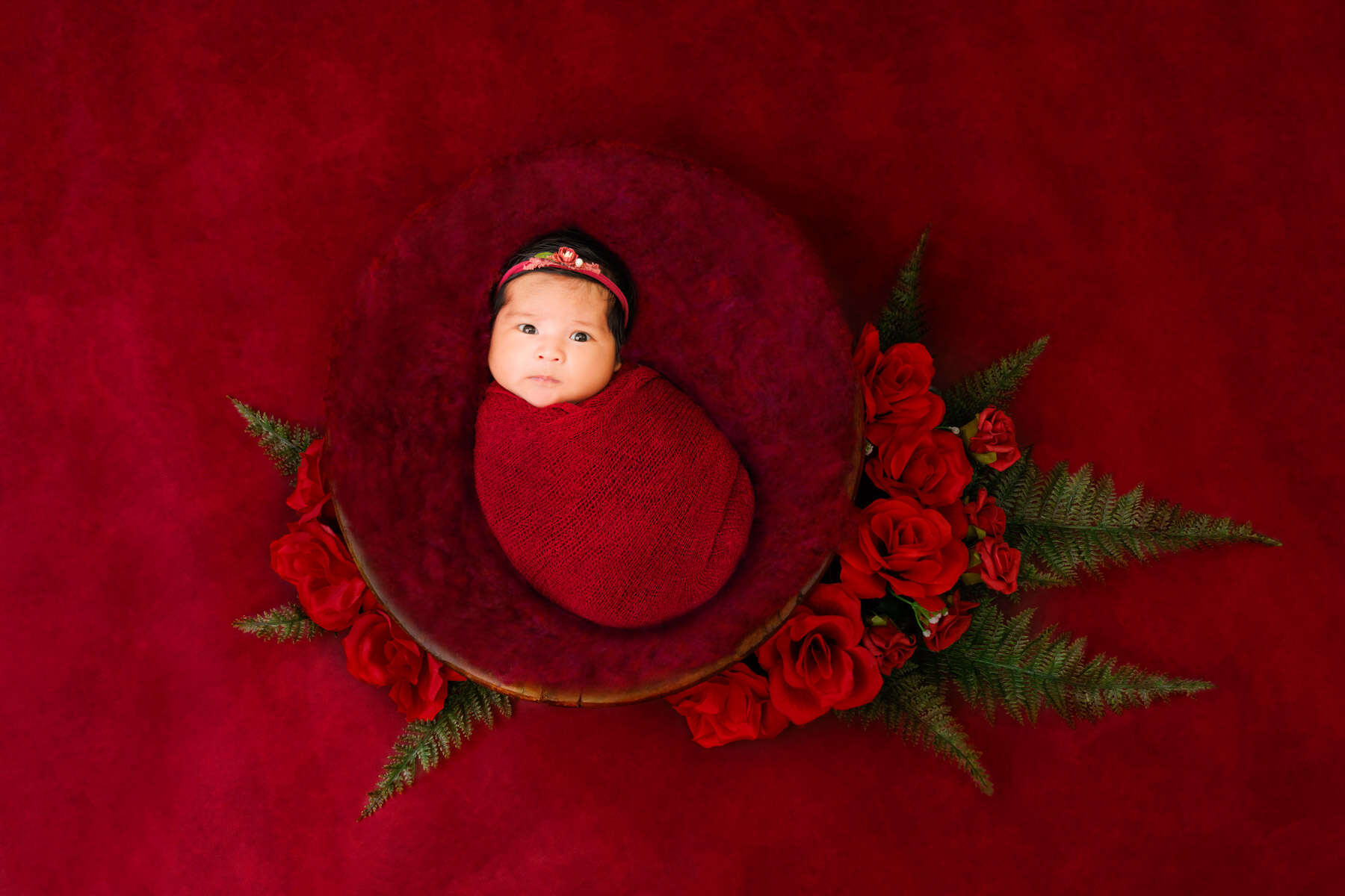 Recent newborn session in Perth