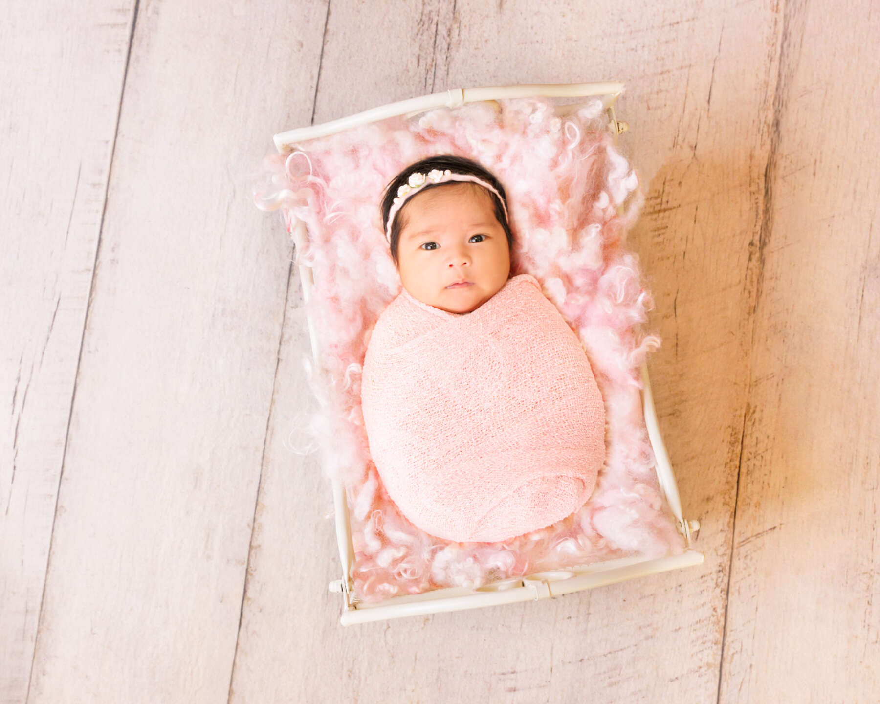 Recent newborn session in Perth