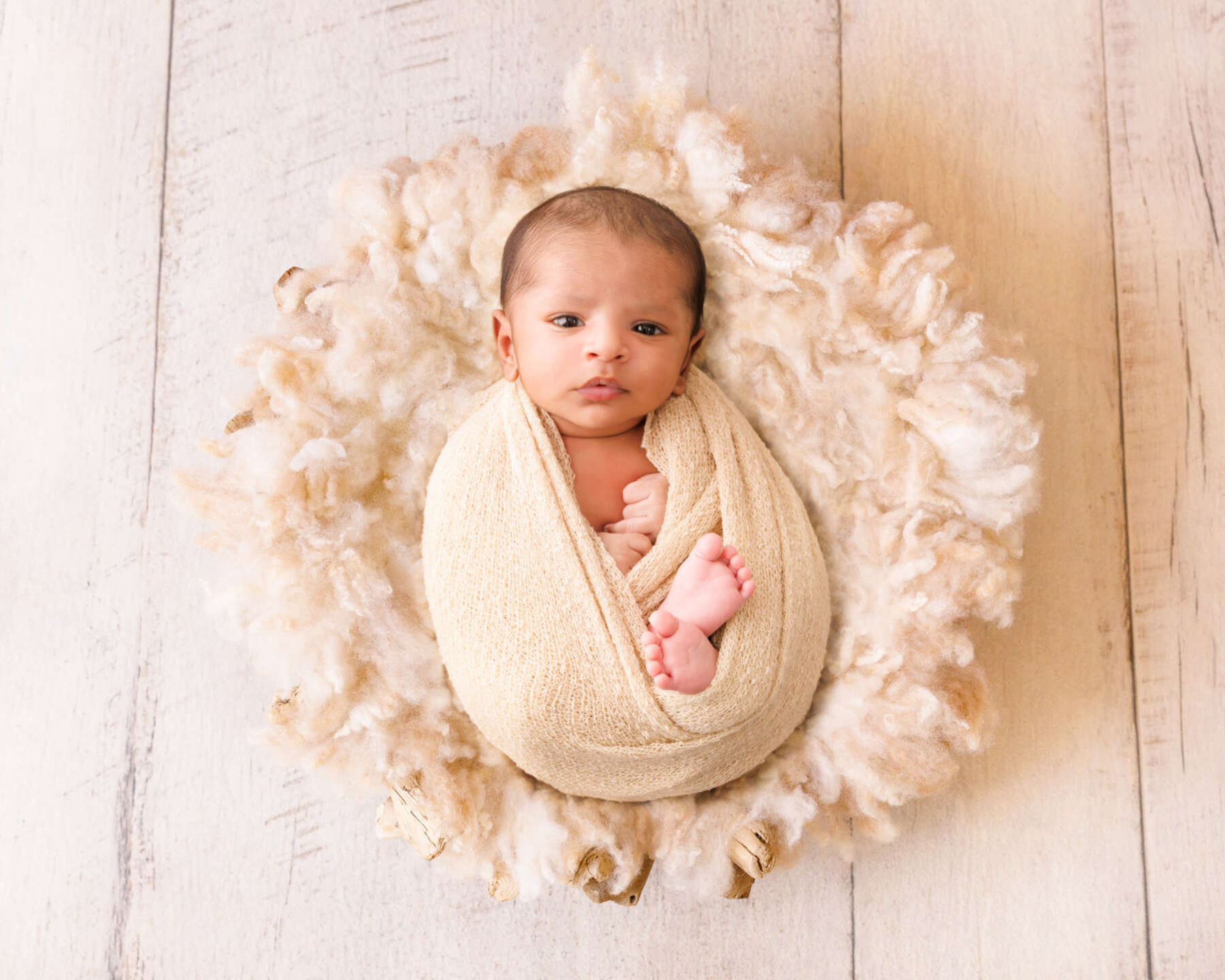 Recent newborn session in Perth