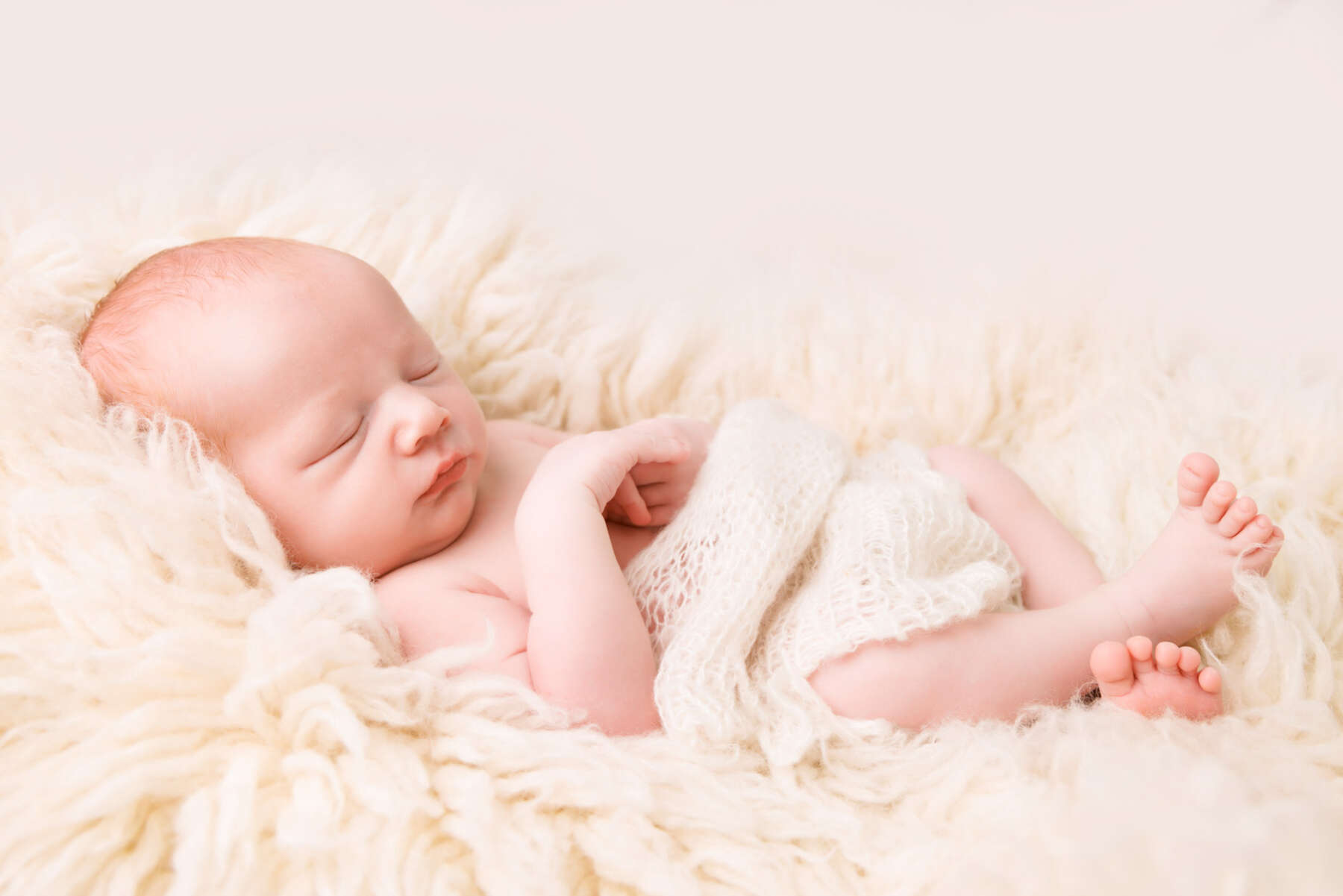 Recent newborn session in Perth