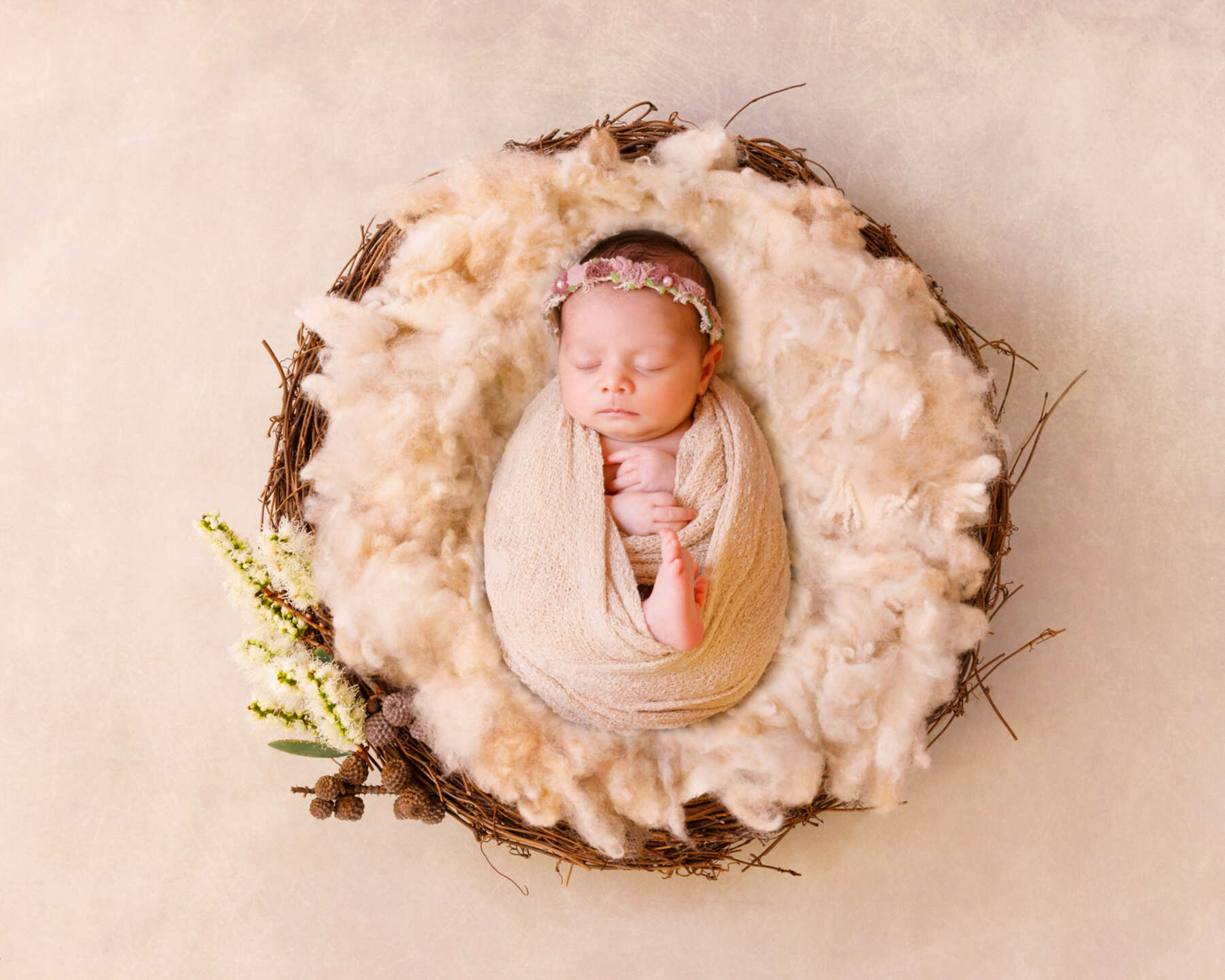 Recent newborn session in Perth