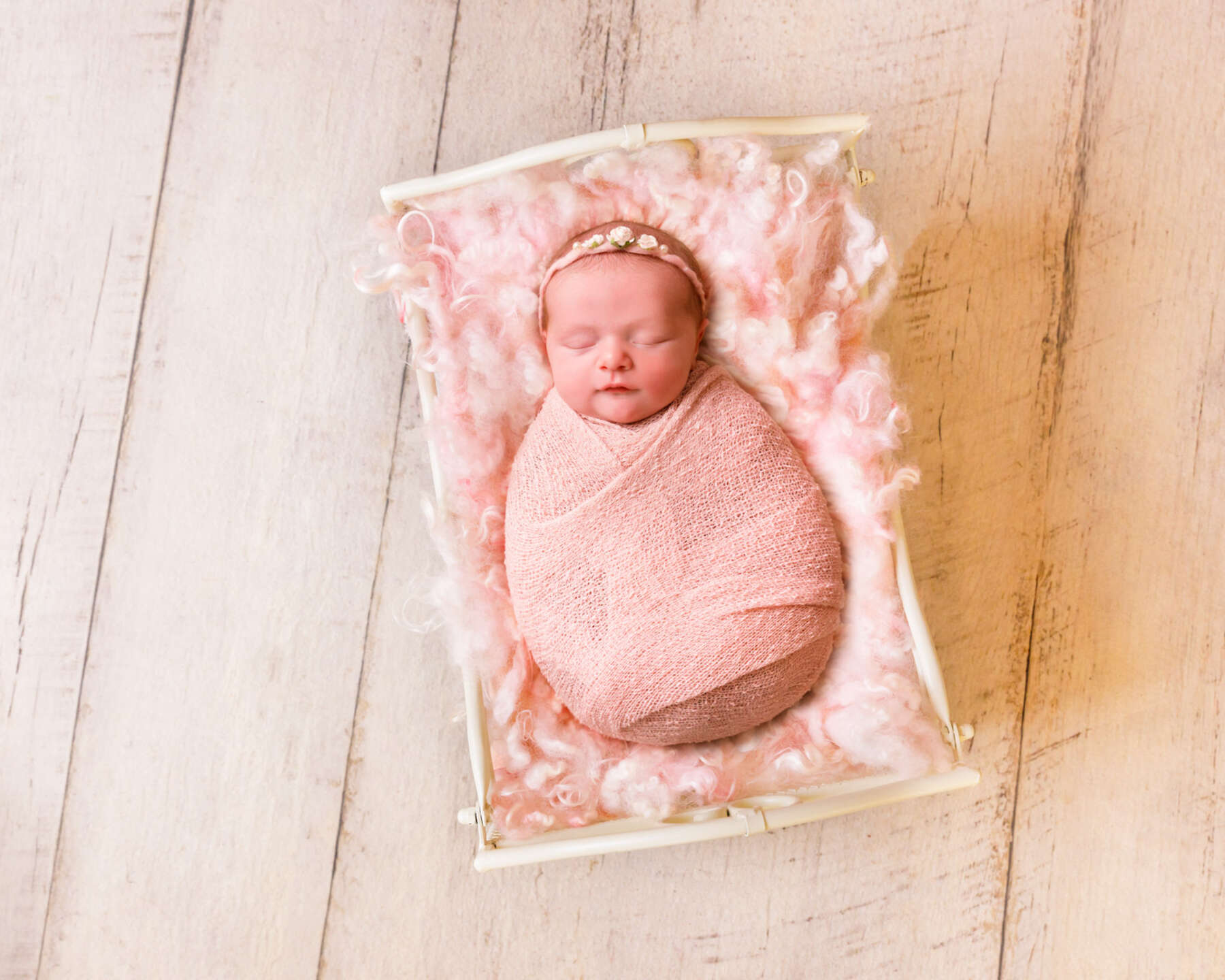 Recent newborn session in Perth