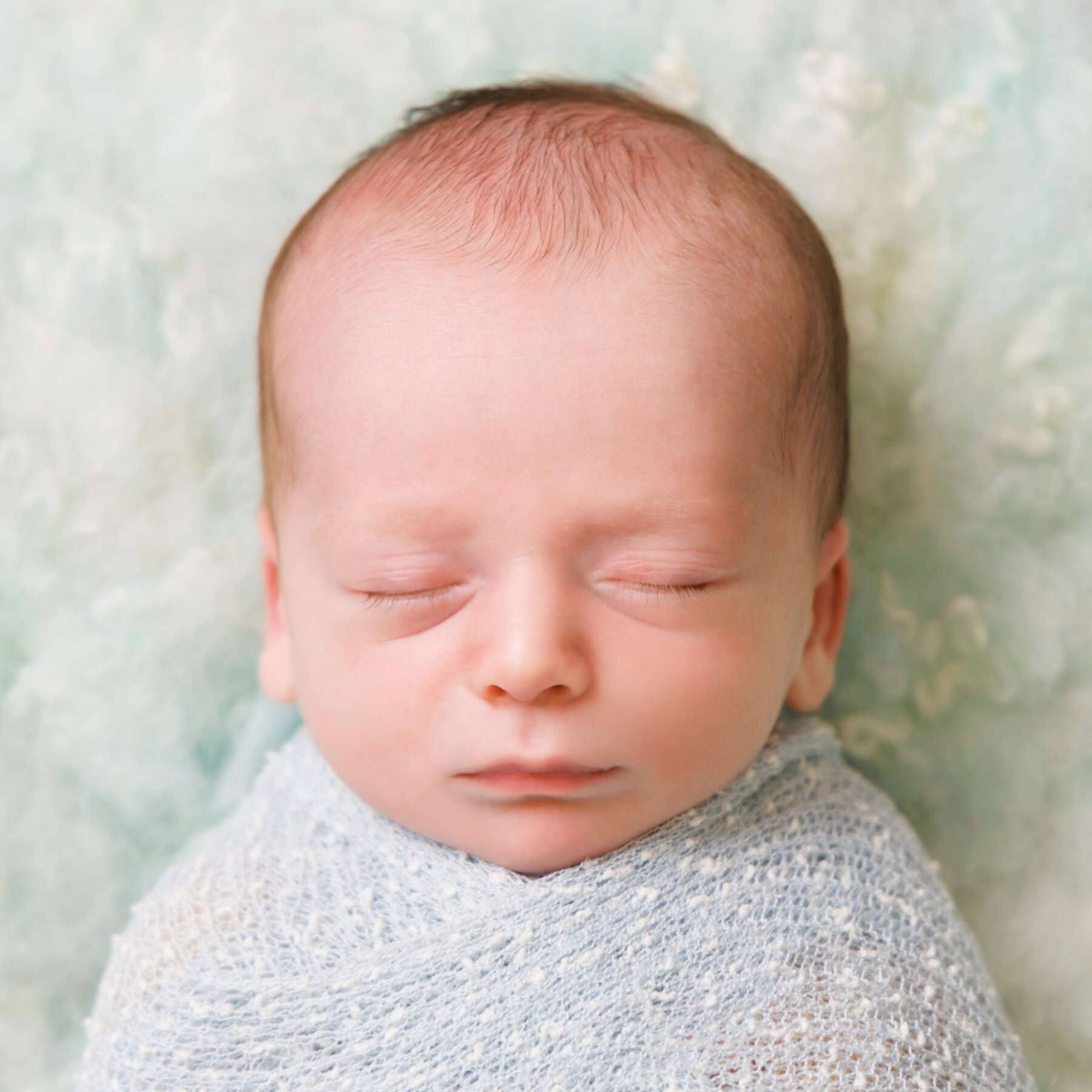 Recent newborn session in Perth