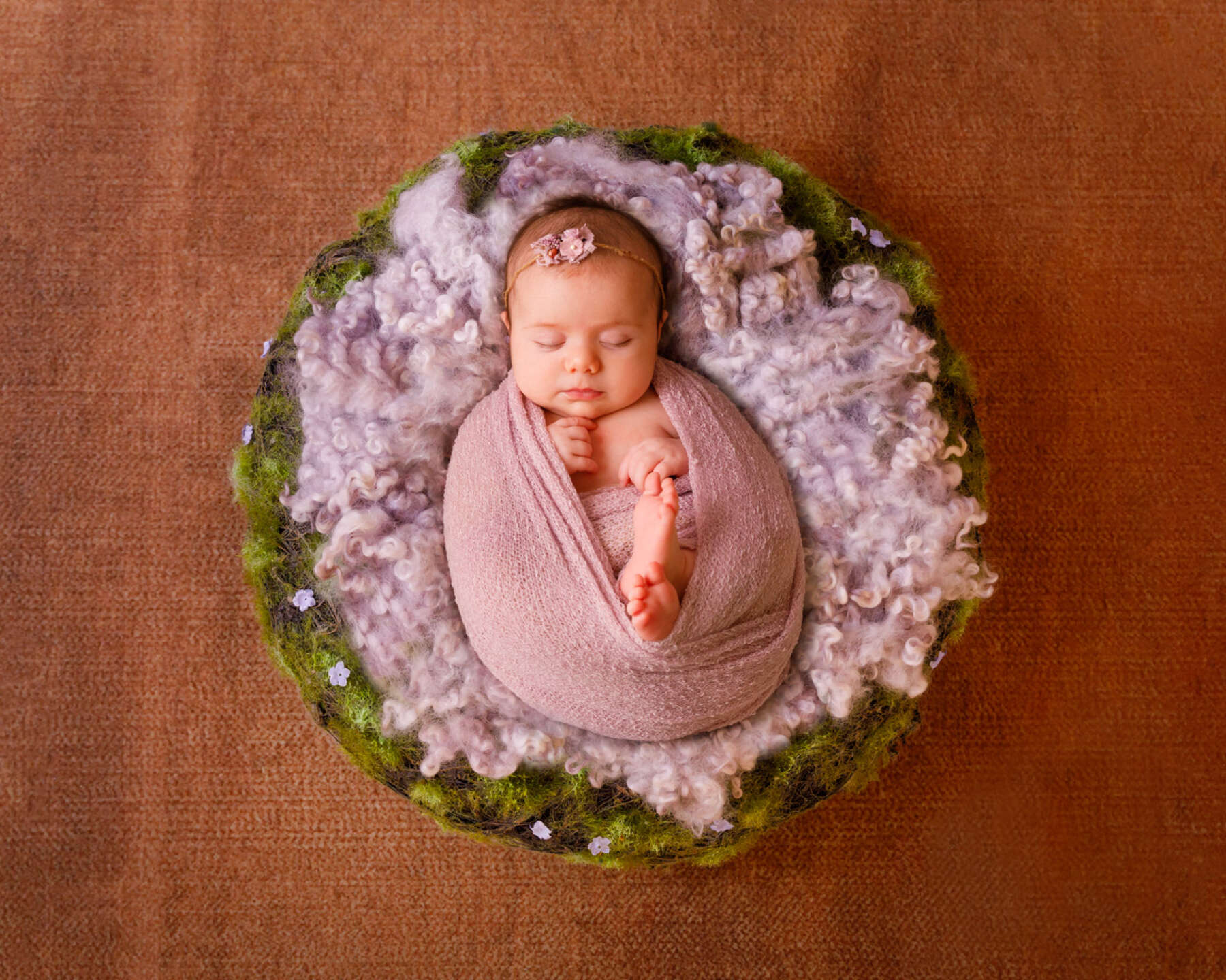 Recent newborn session in Perth