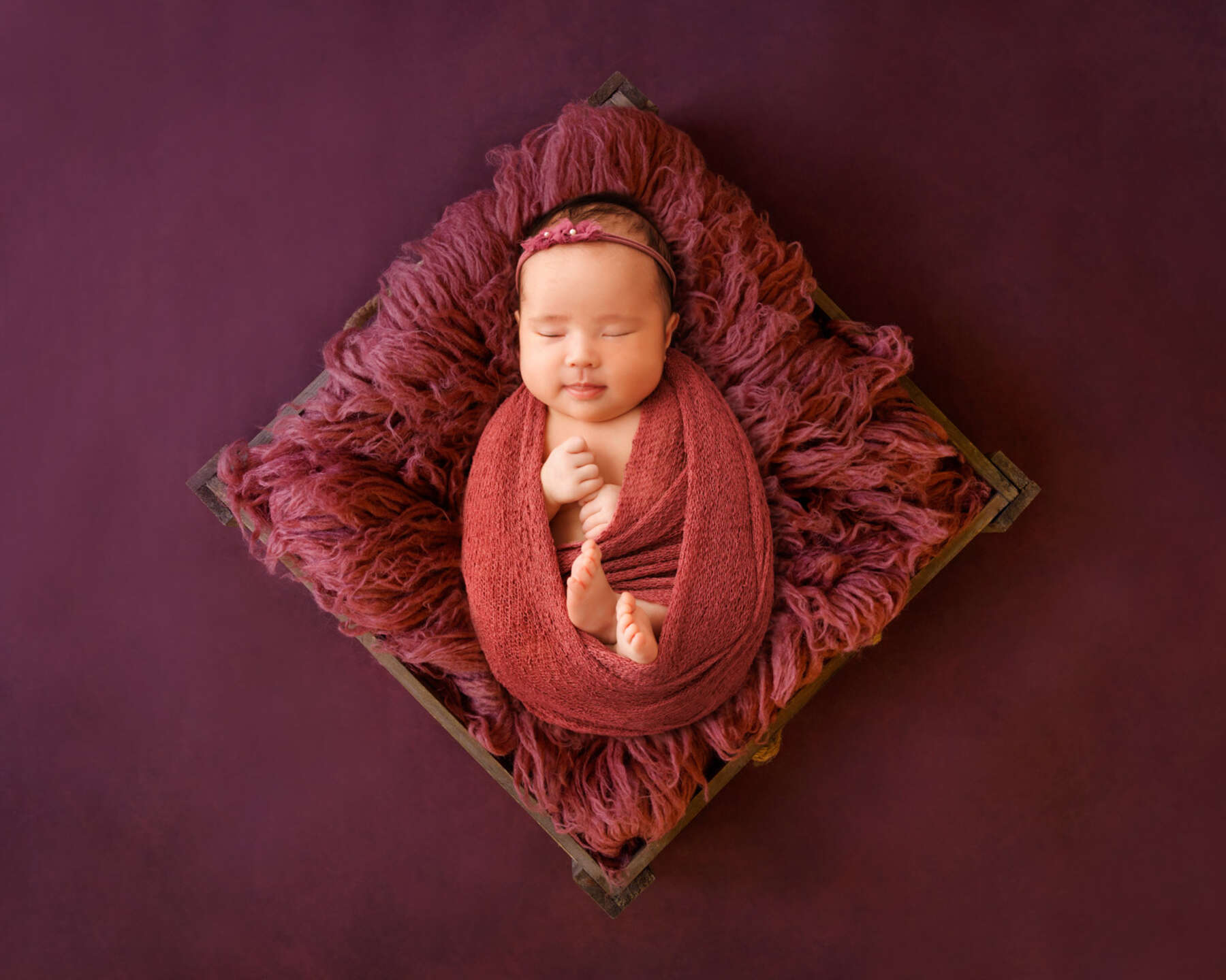Recent newborn session in Perth