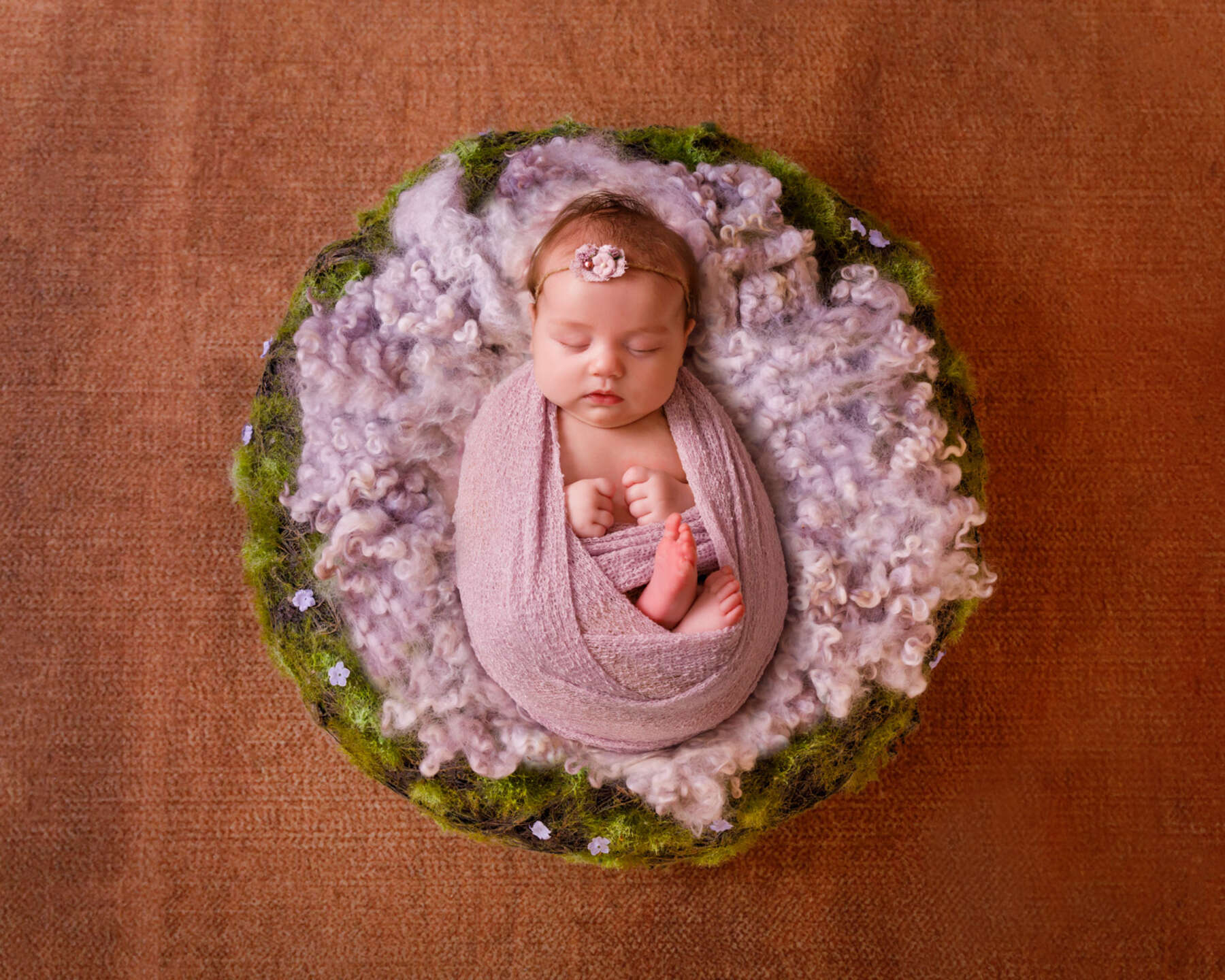Recent newborn session in Perth