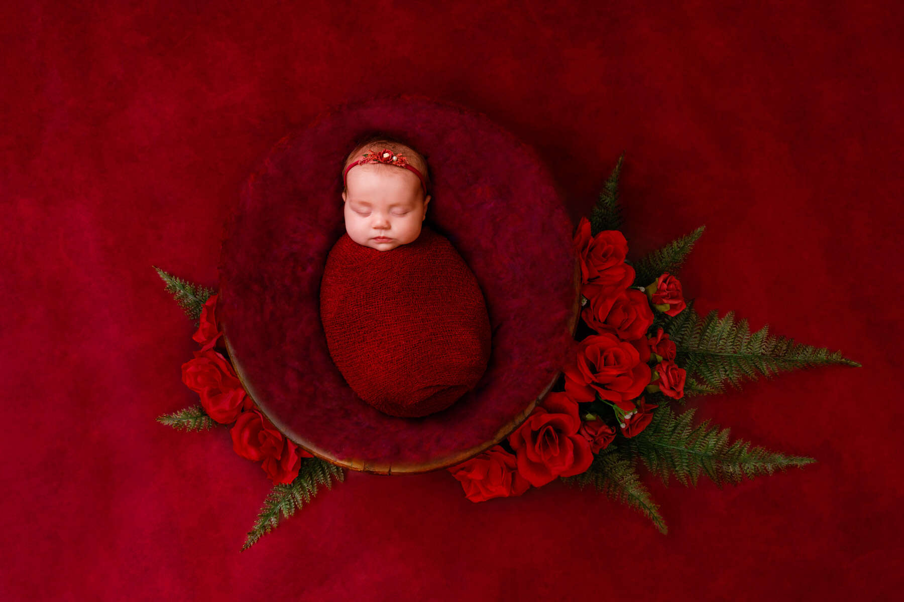 Recent newborn session in Perth