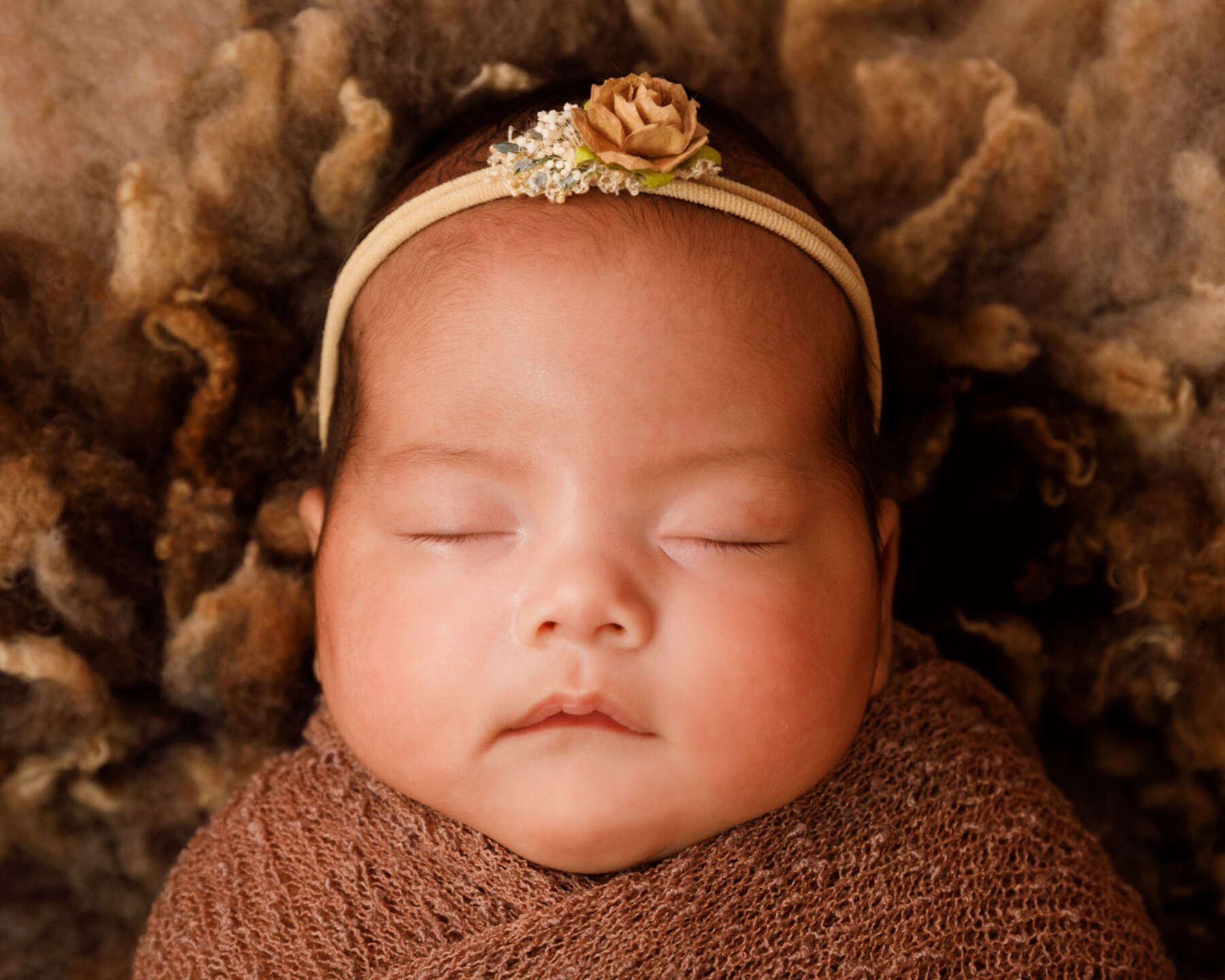 Recent newborn session in Perth