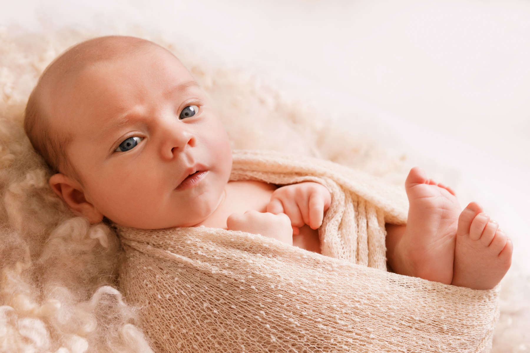 Recent newborn session in Perth