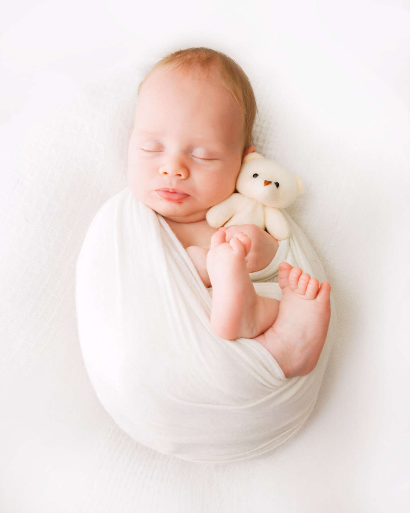 Recent newborn session in Perth