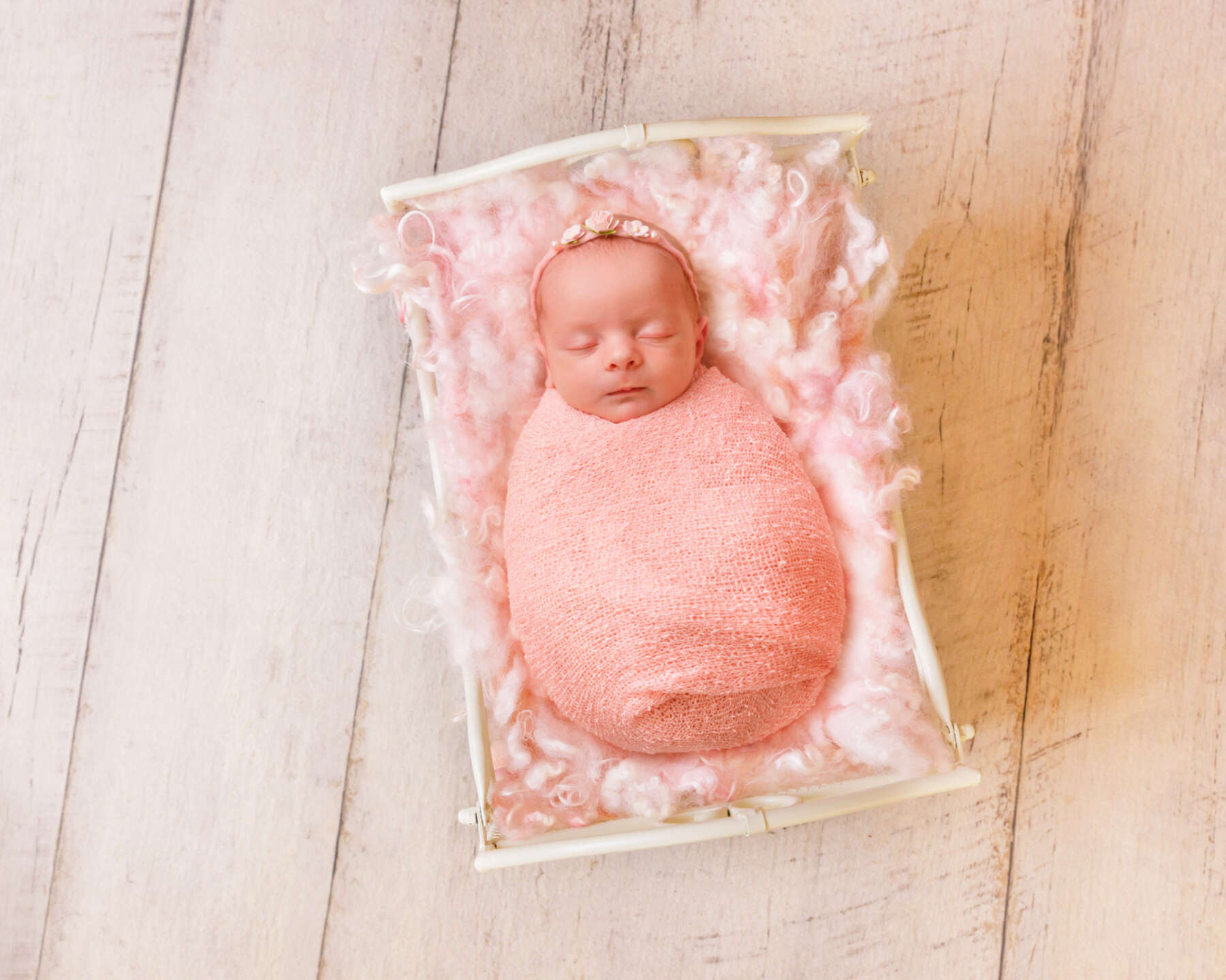 Recent newborn session in Perth