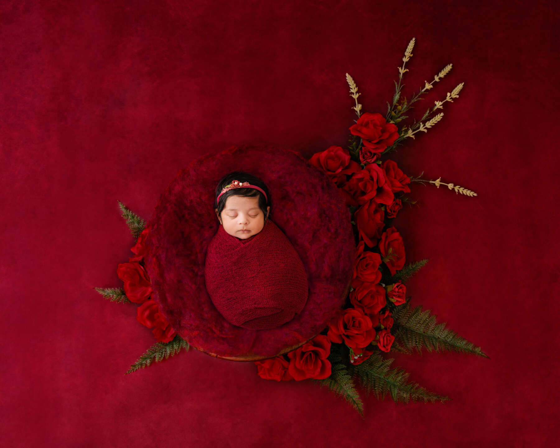 Recent newborn session in Perth