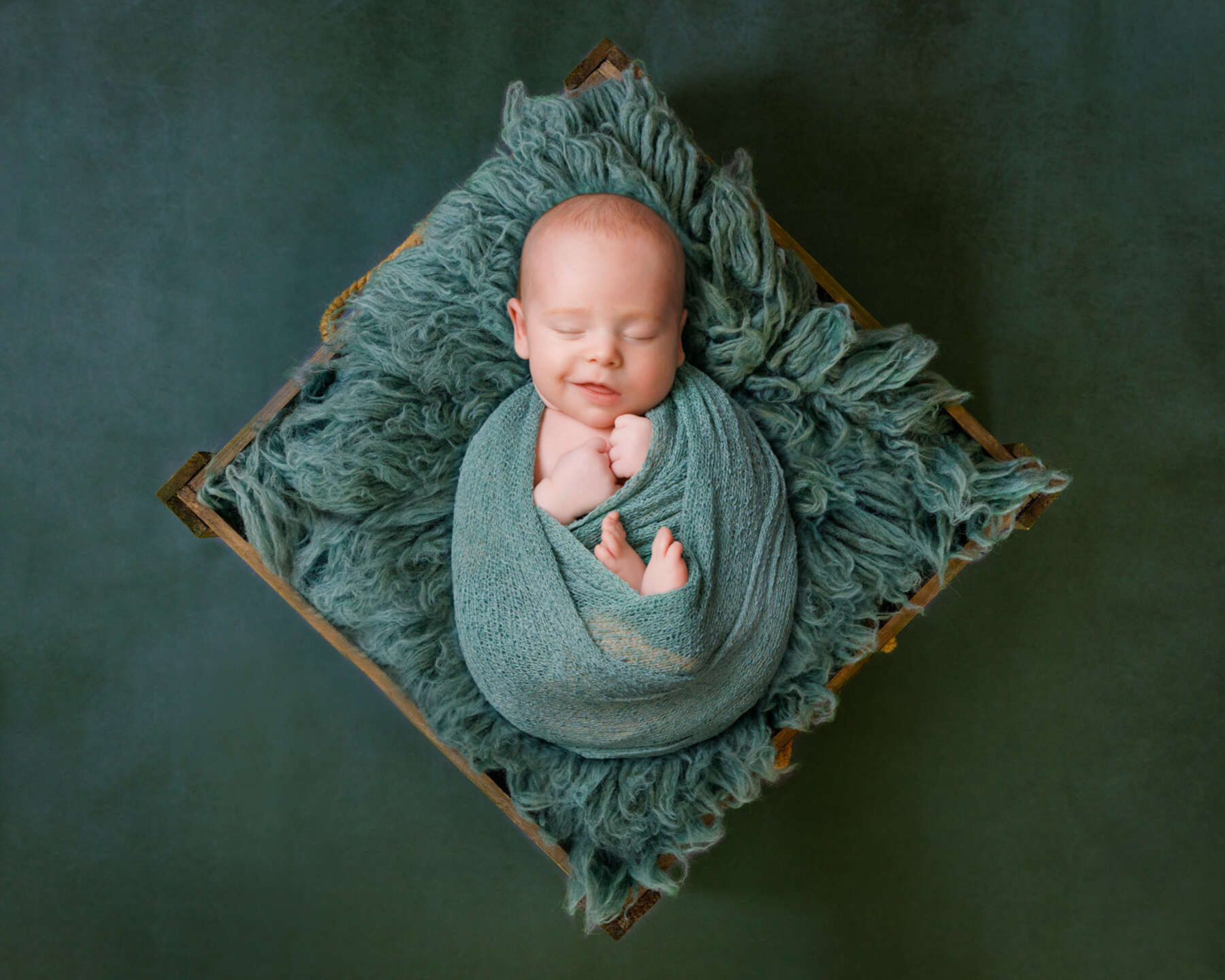 Recent newborn session in Perth