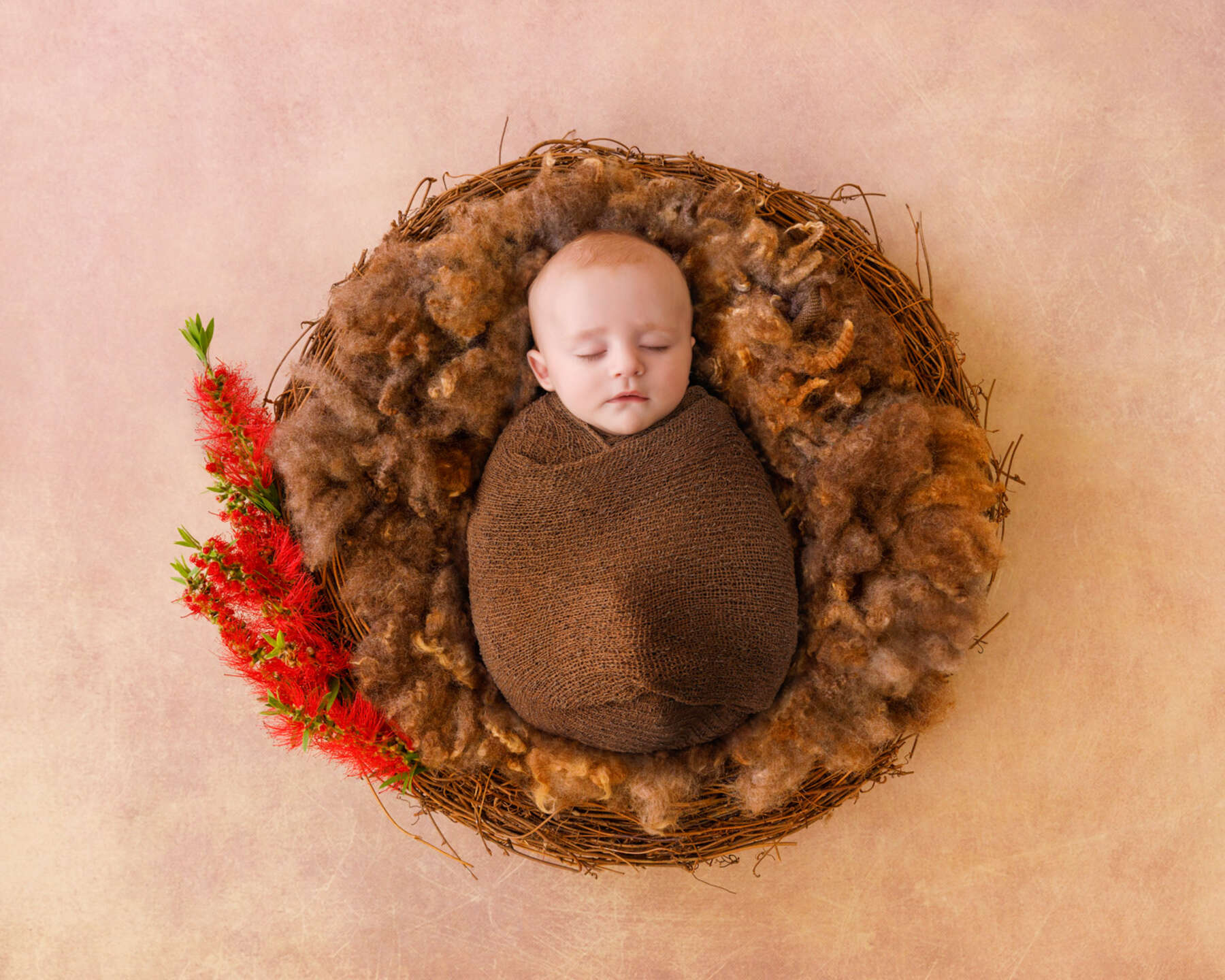 Recent newborn session in Perth