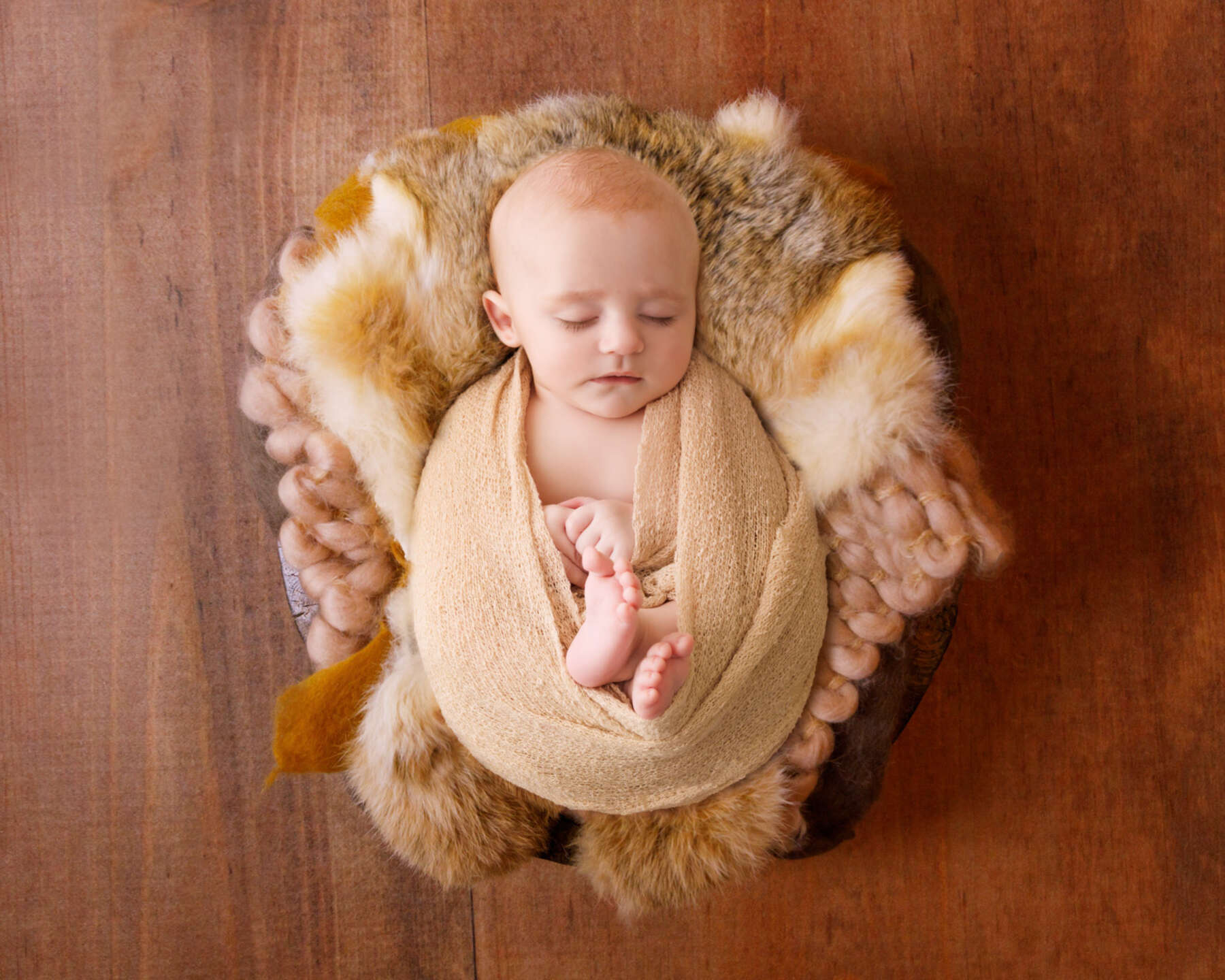 Recent newborn session in Perth