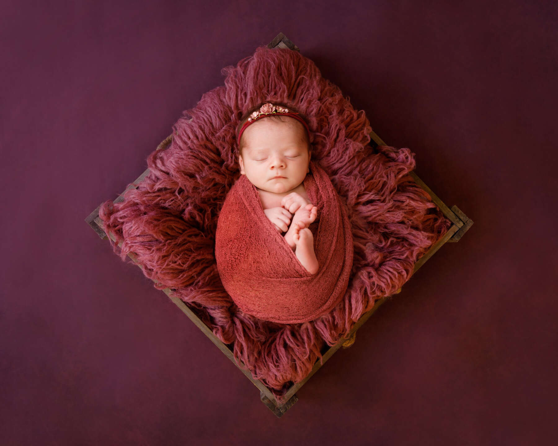 Recent newborn session in Perth
