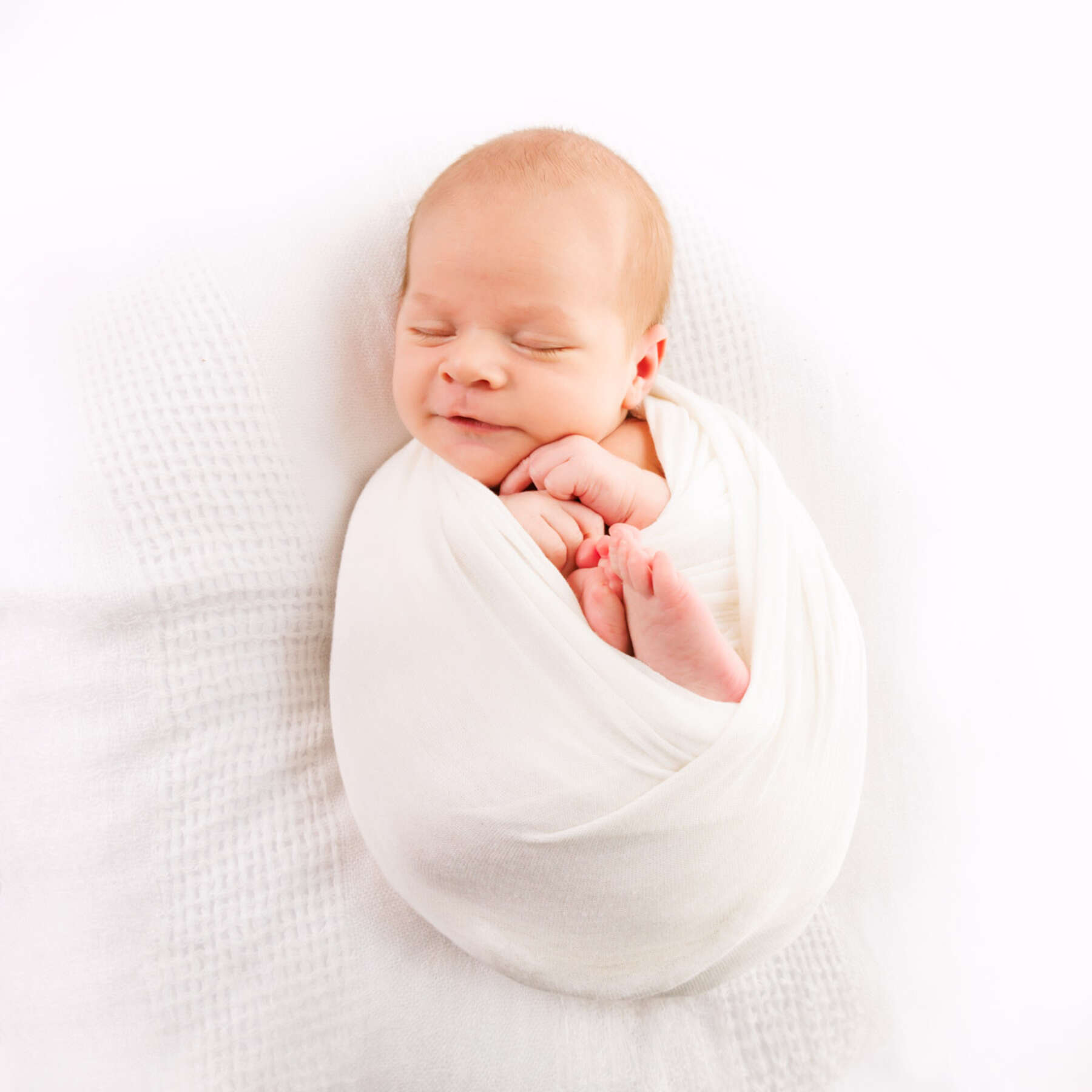 Recent newborn session in Perth