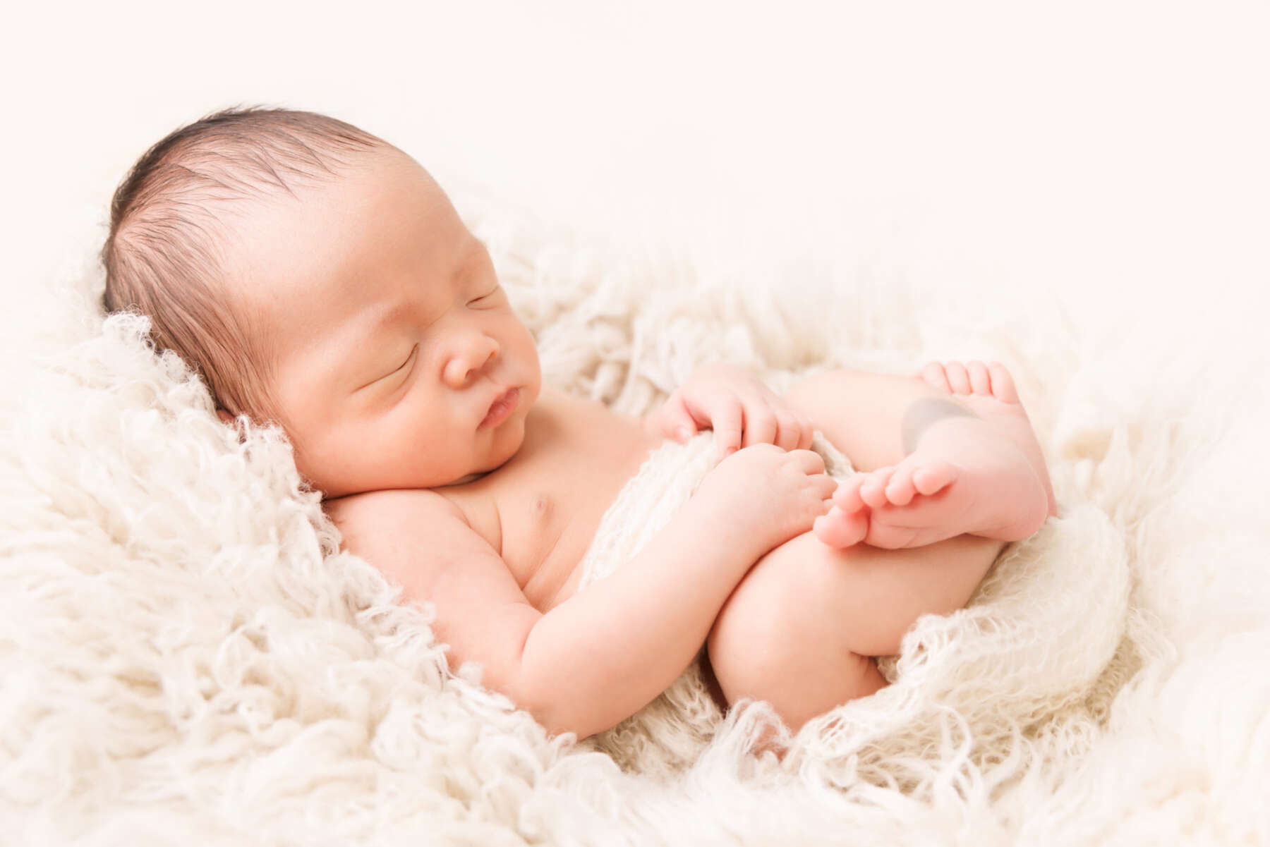 Recent newborn session in Perth