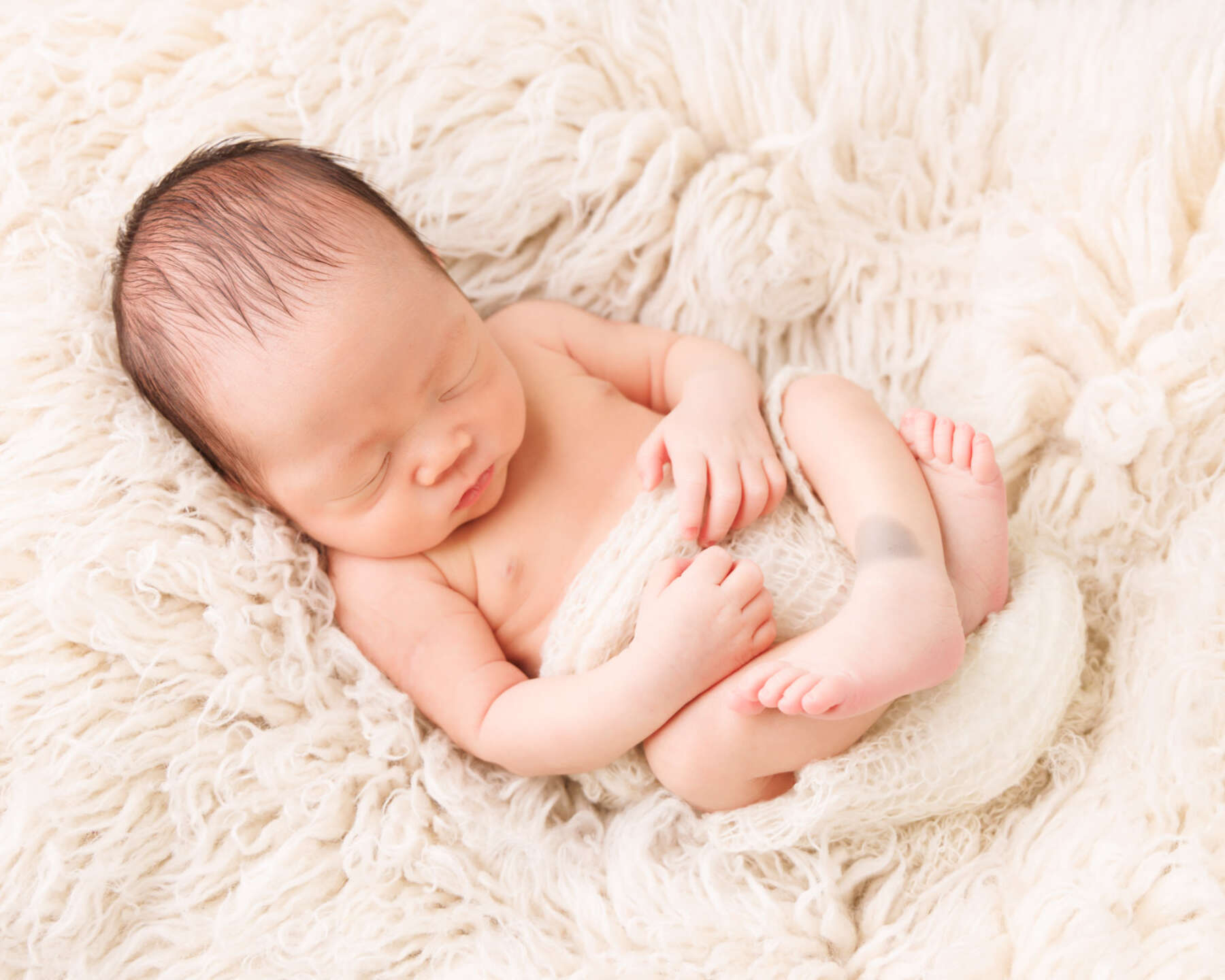 Recent newborn session in Perth