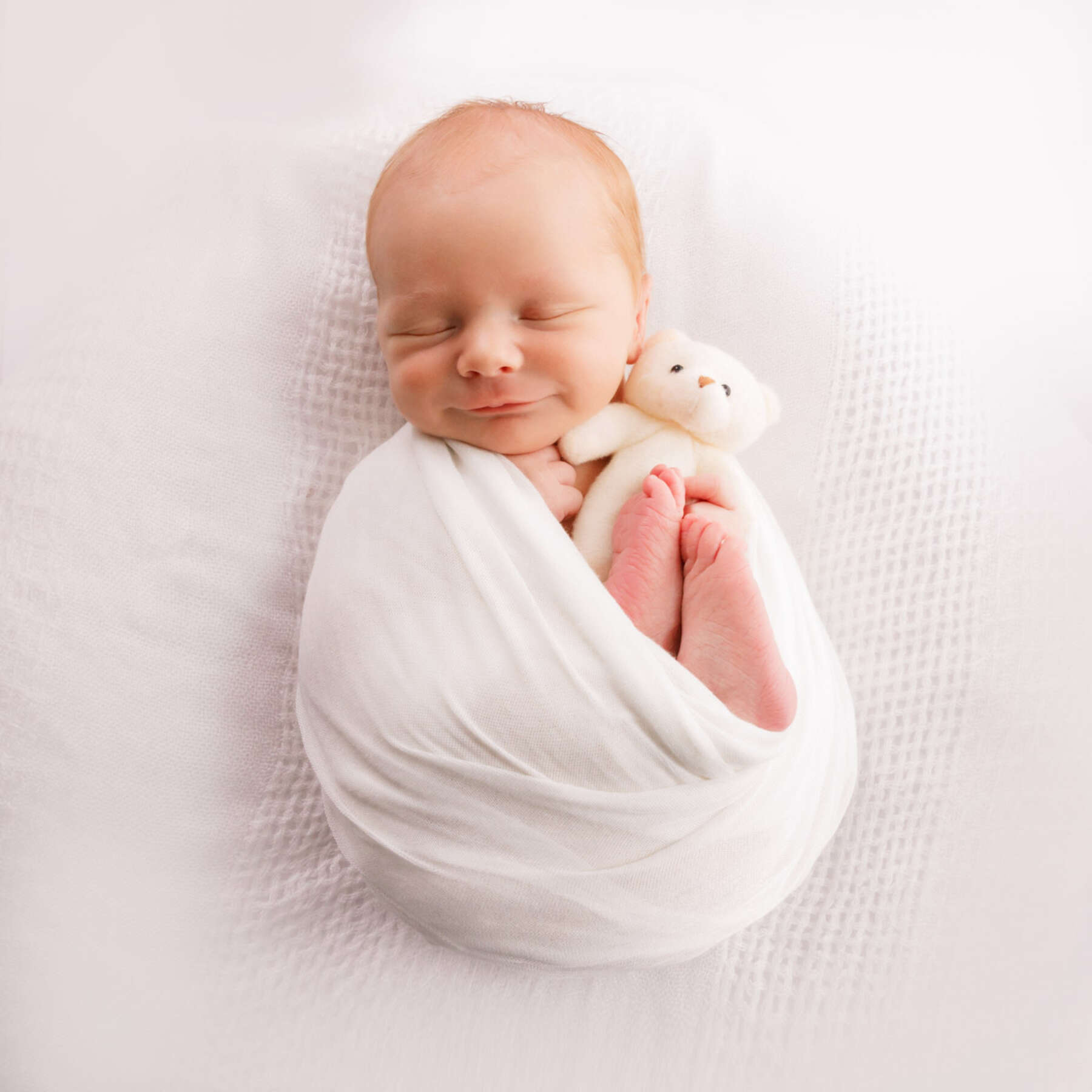 Recent newborn session in Perth