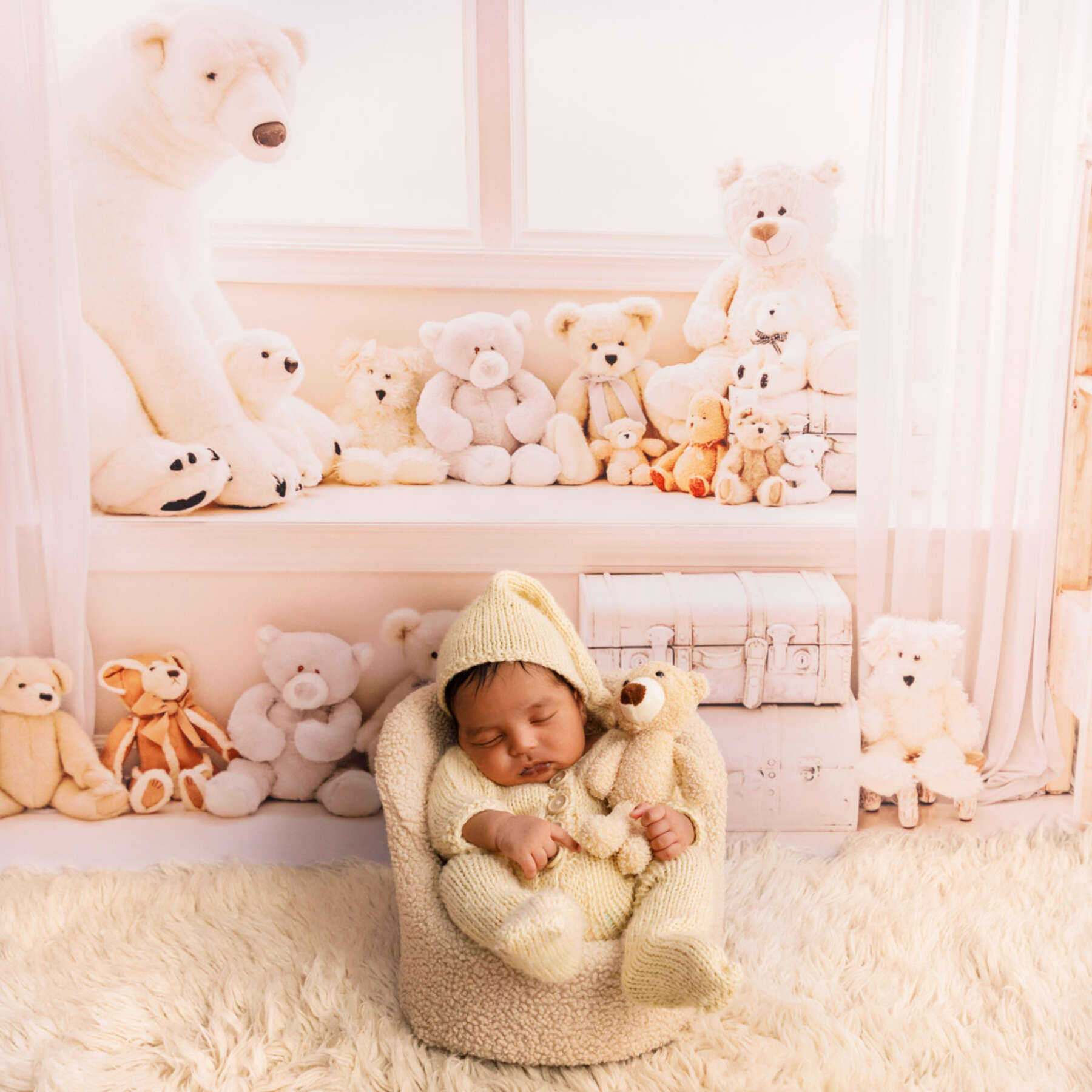 Recent newborn session in Perth