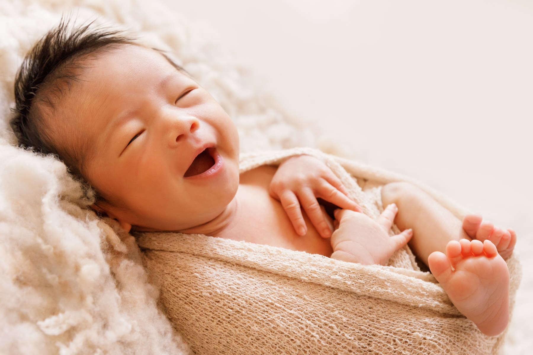 Recent newborn session in Perth