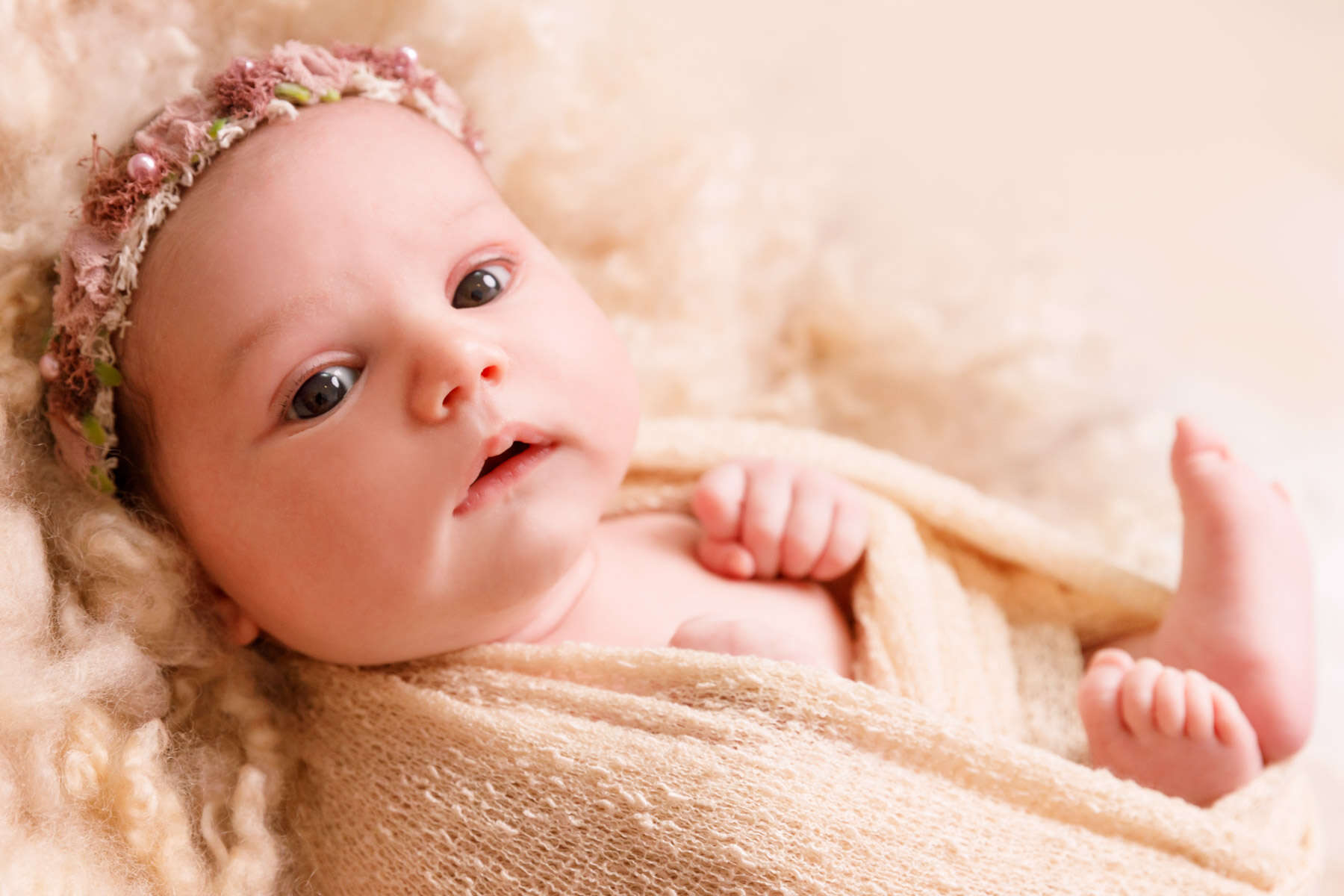 Recent newborn session in Perth