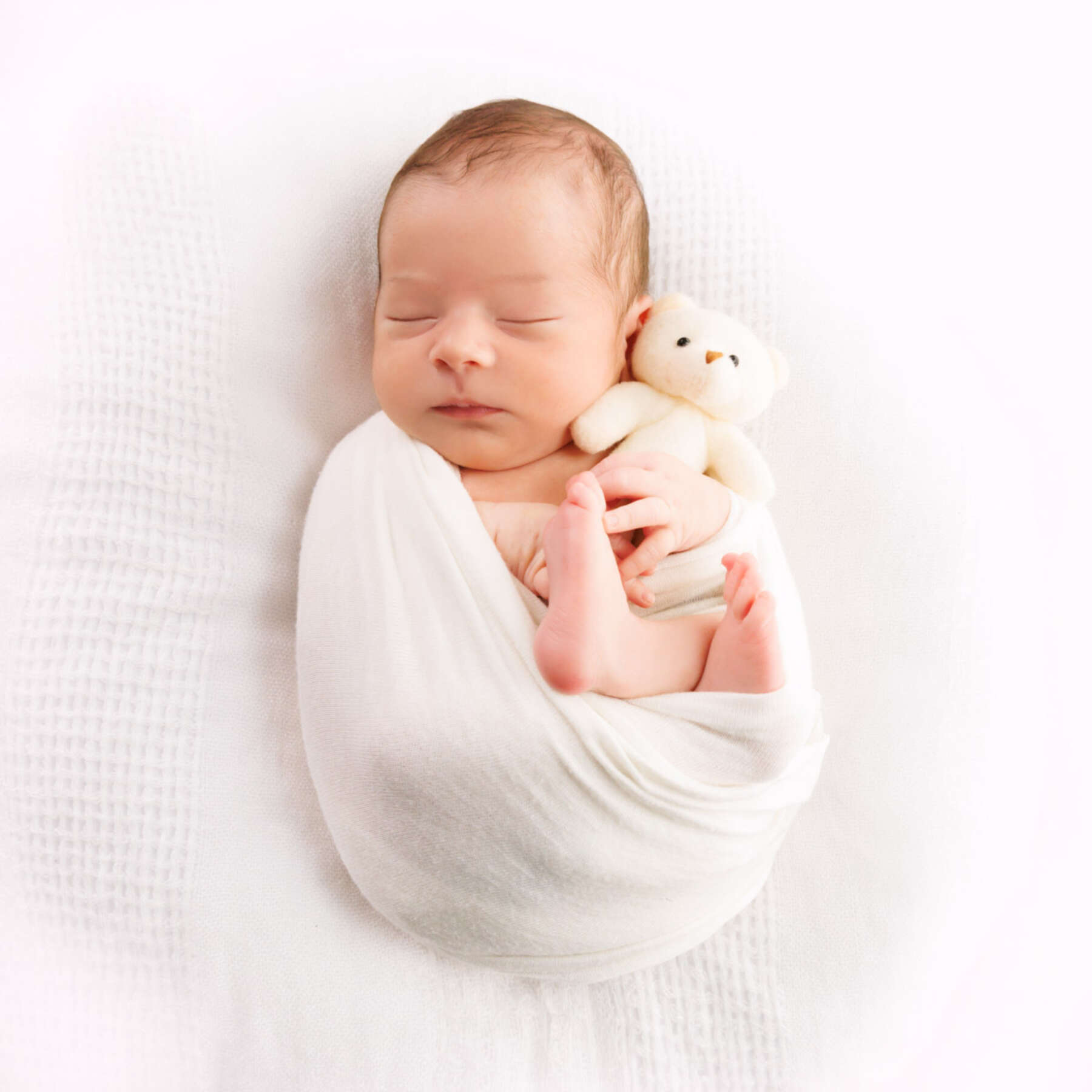 Recent newborn session in Perth