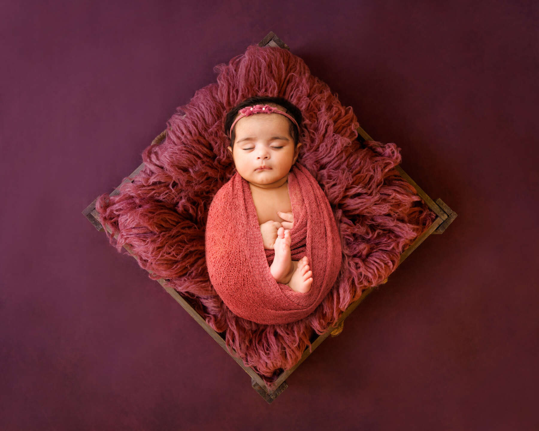 Recent newborn session in Perth