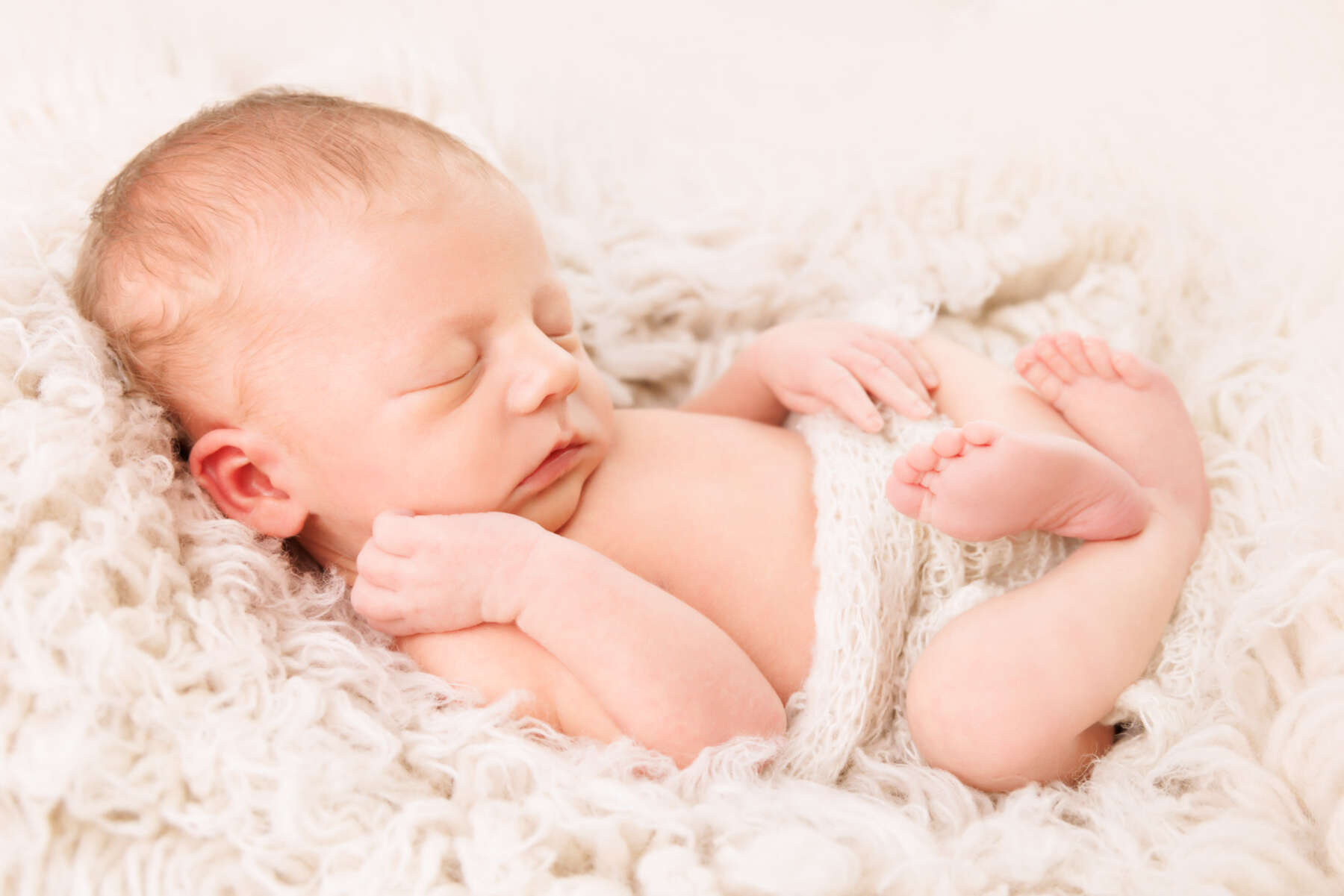 Recent newborn session in Perth