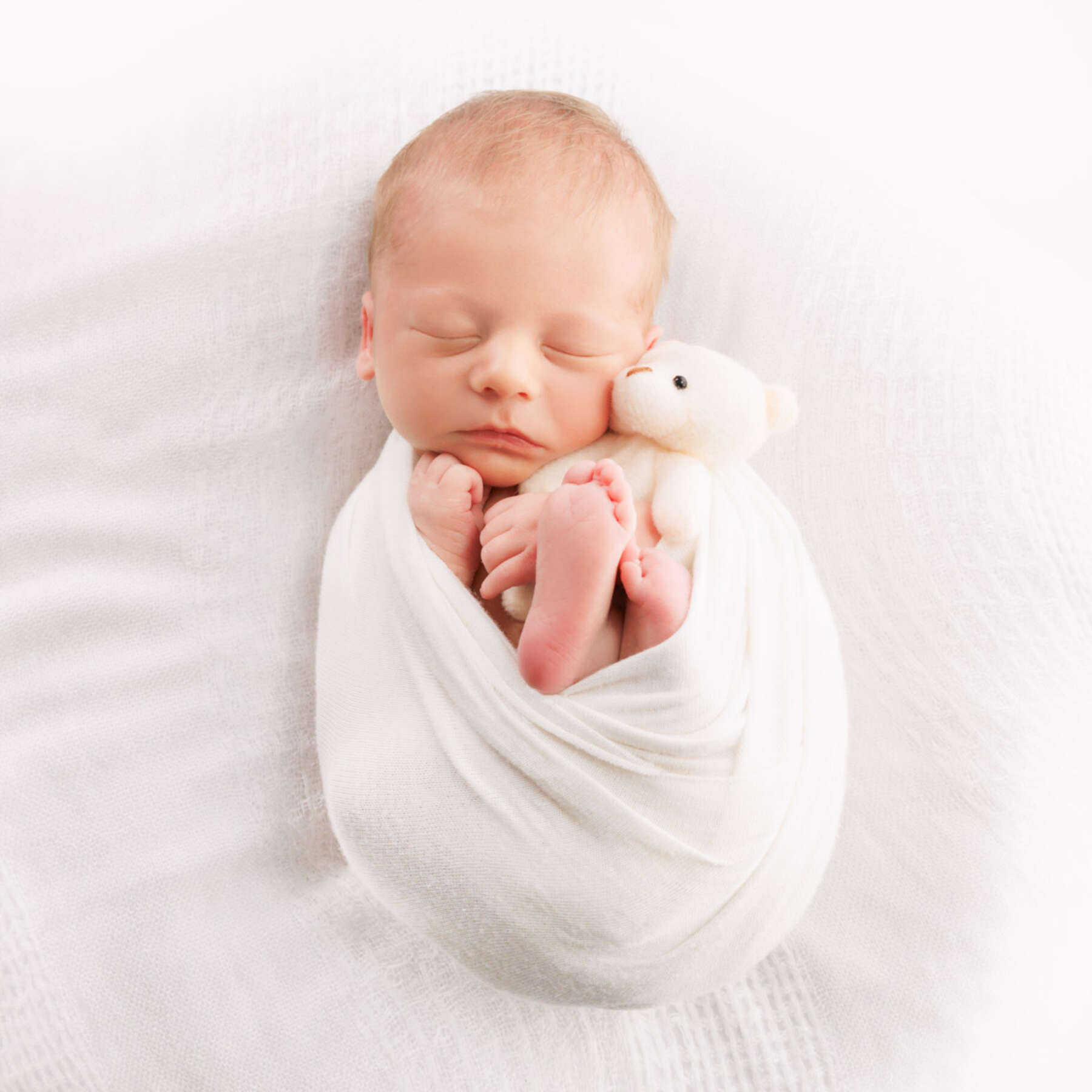 Recent newborn session in Perth