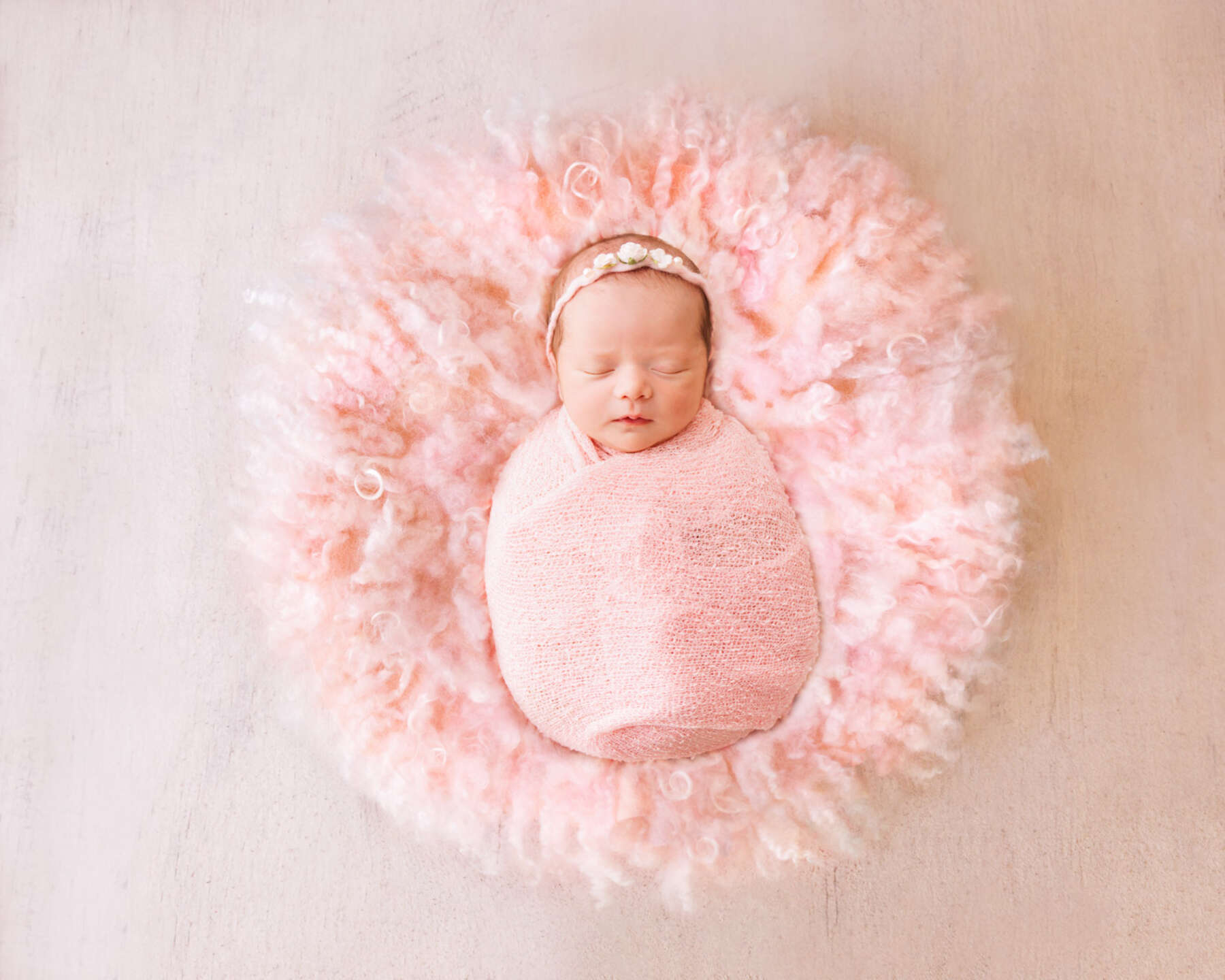 Recent newborn session in Perth
