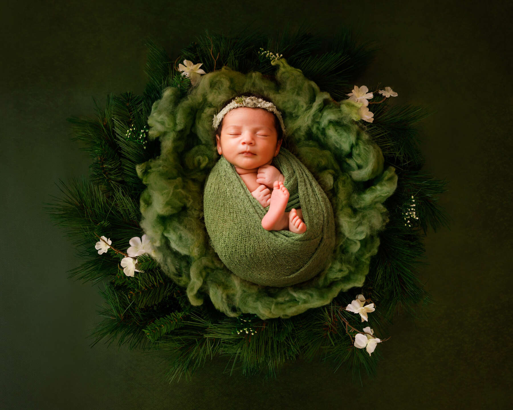 Recent newborn session in Perth