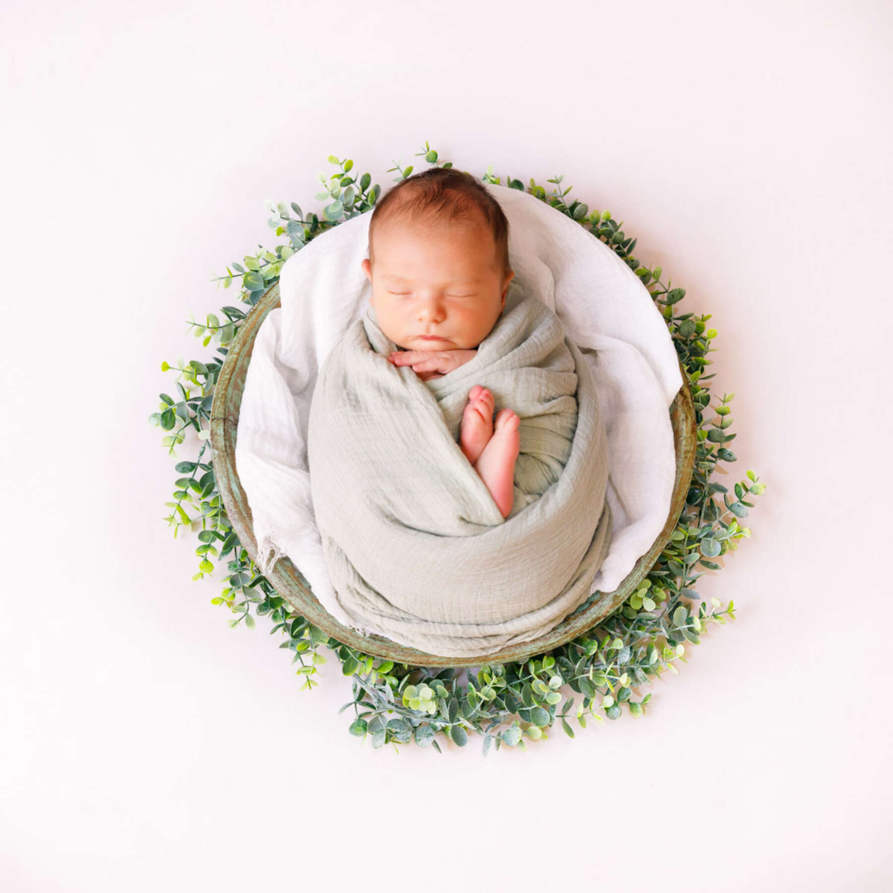 Recent newborn session in Perth